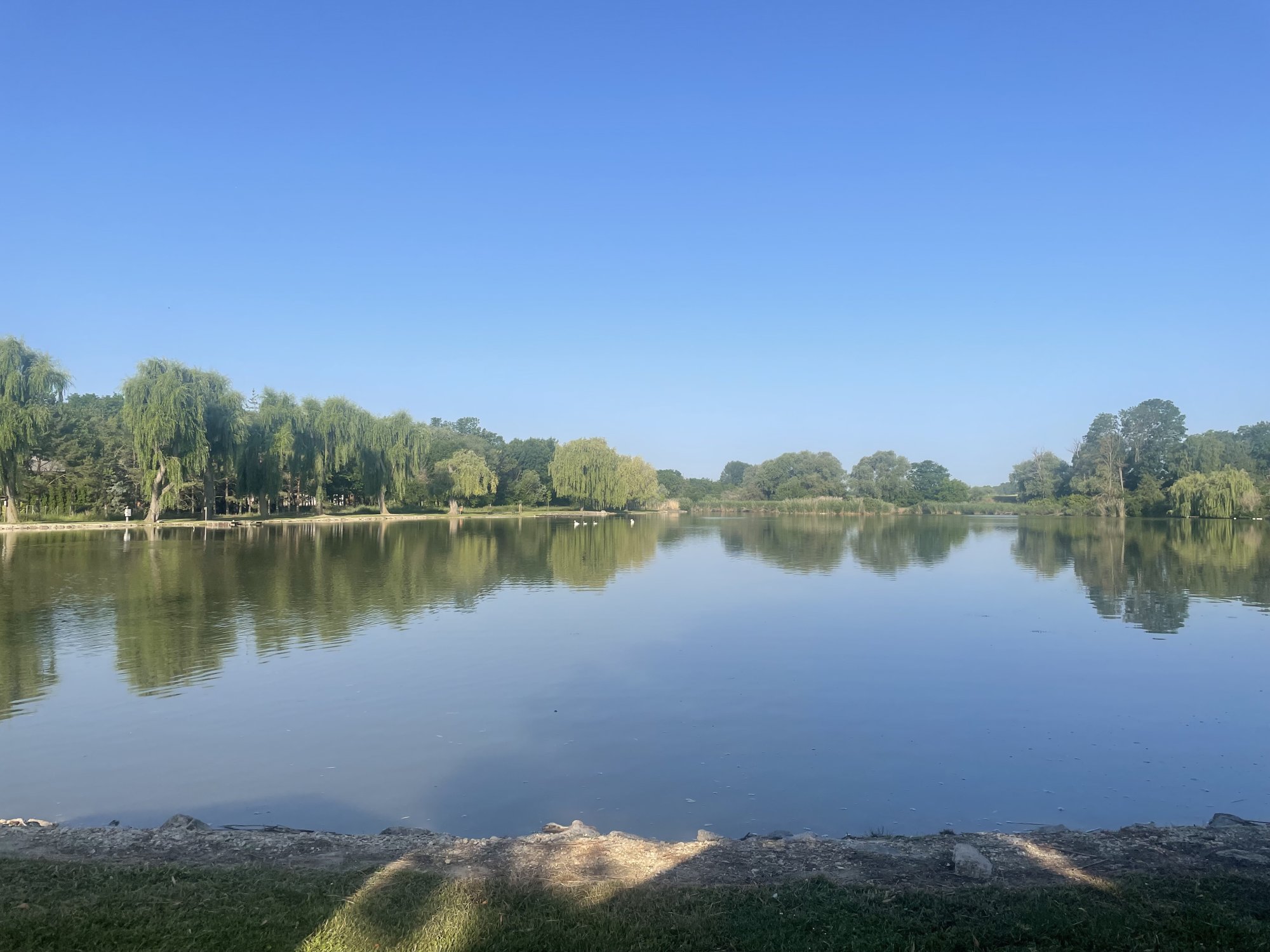 IMG_7048.jpeg