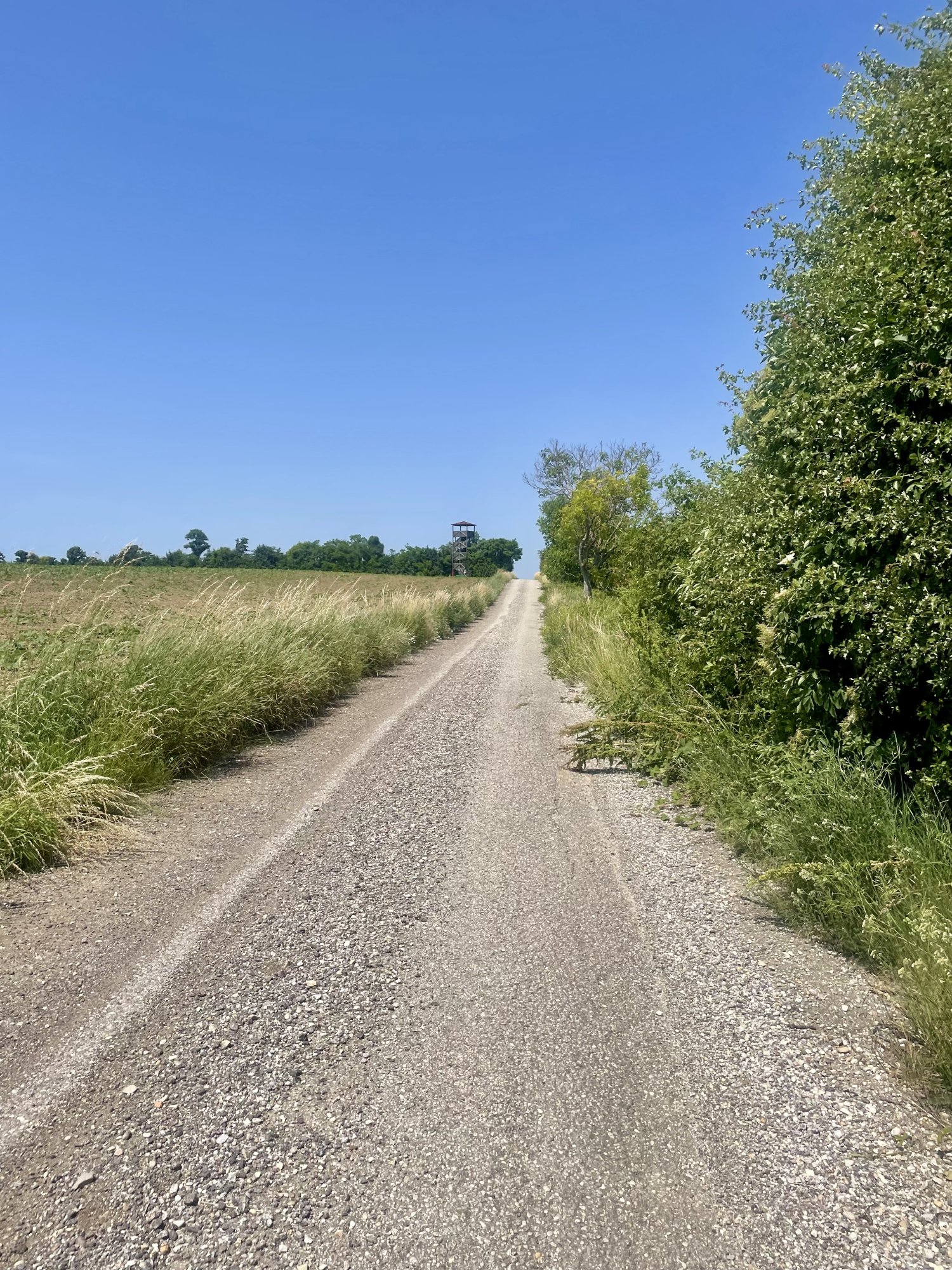 IMG_7067.jpeg