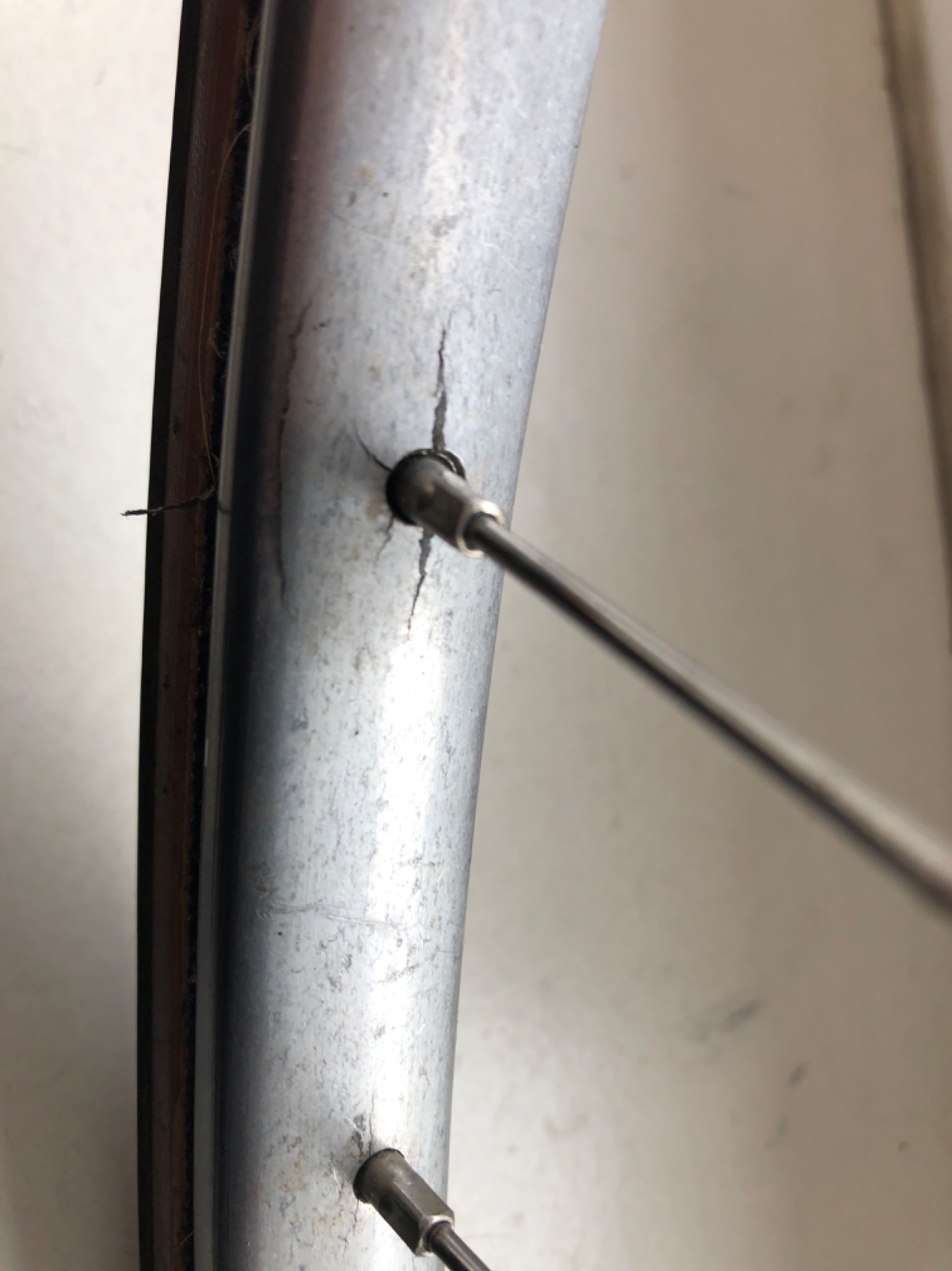 IMG_7108.jpeg