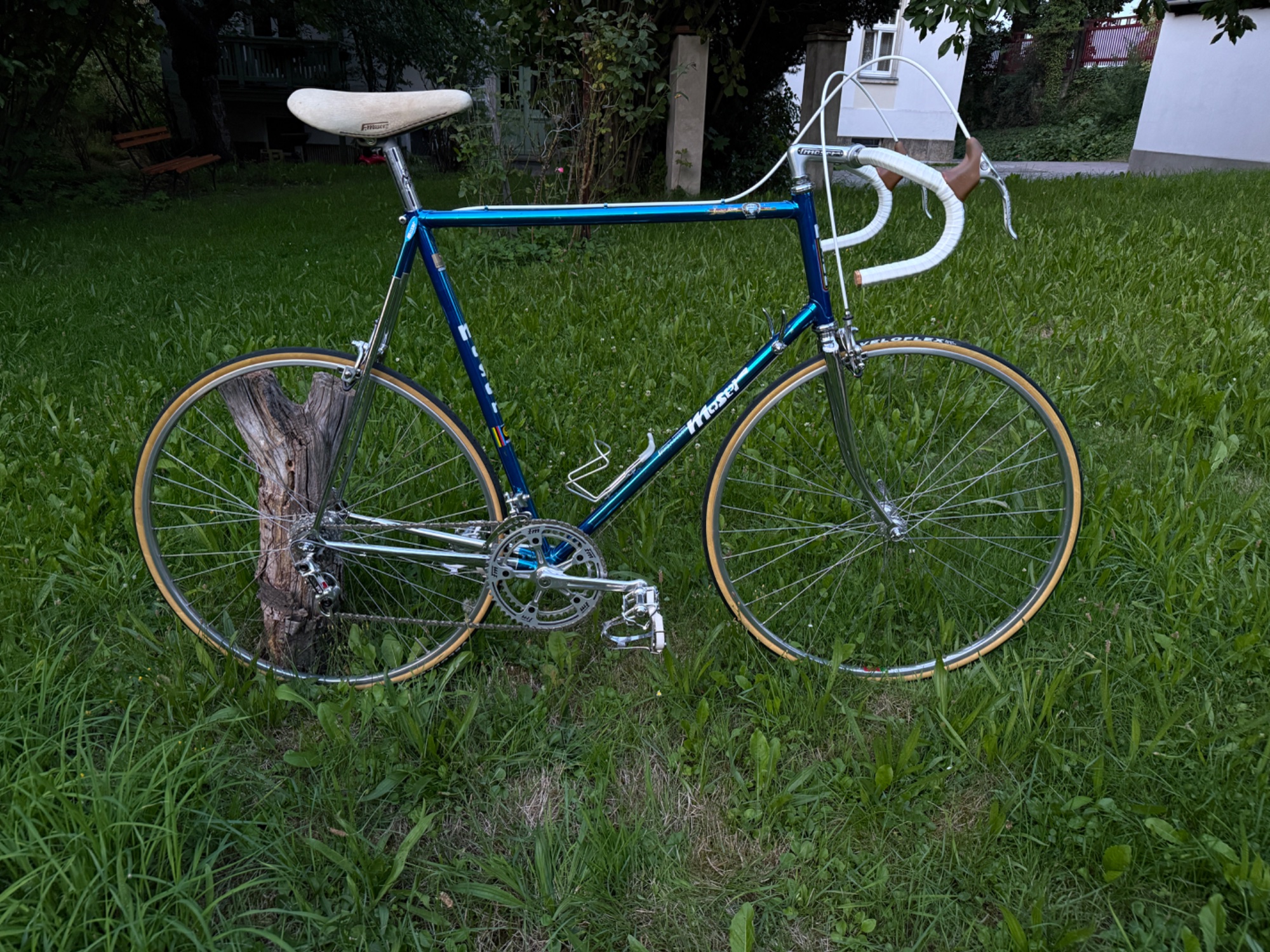 IMG_7176.jpeg