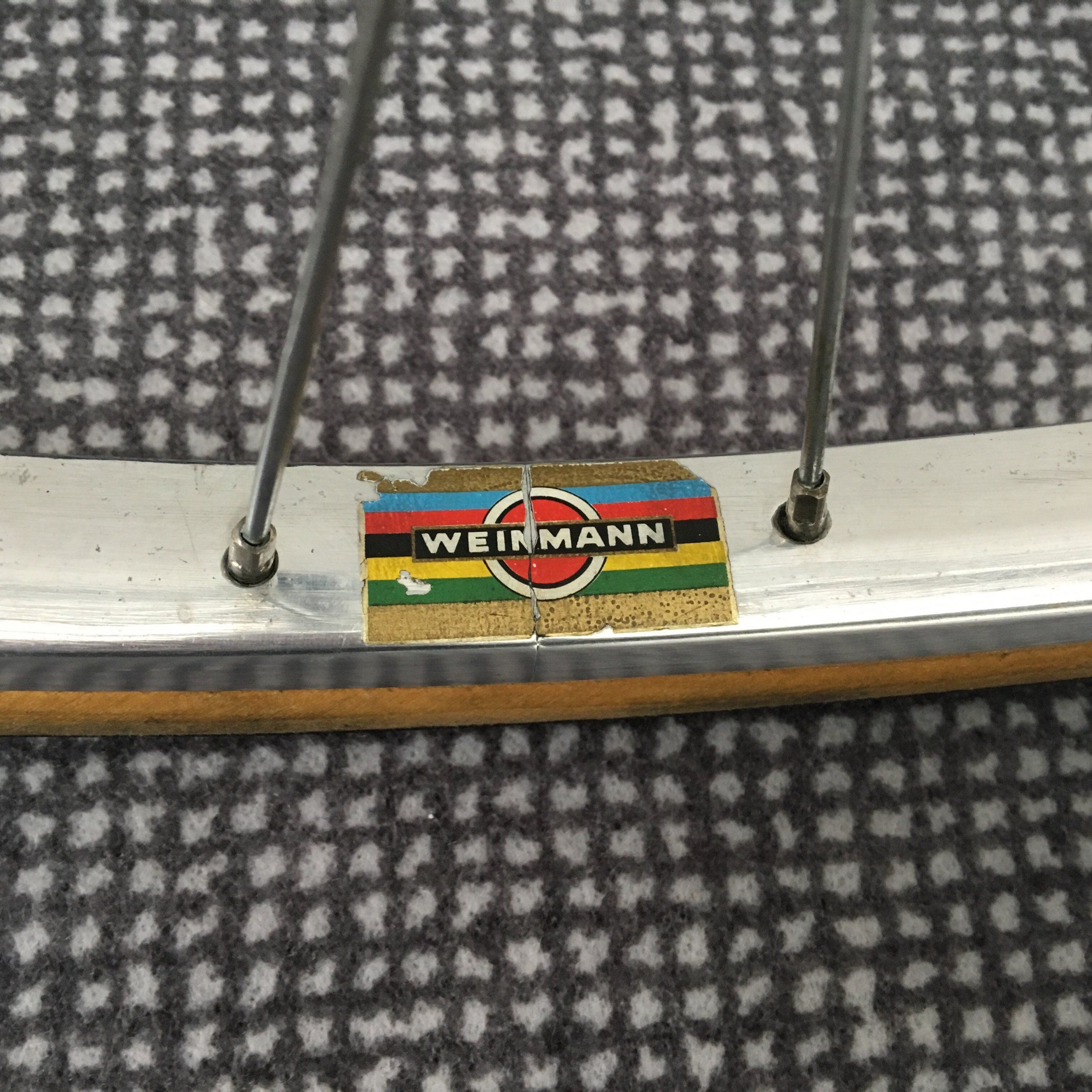 IMG_7233.JPG IMG_7233.JPG