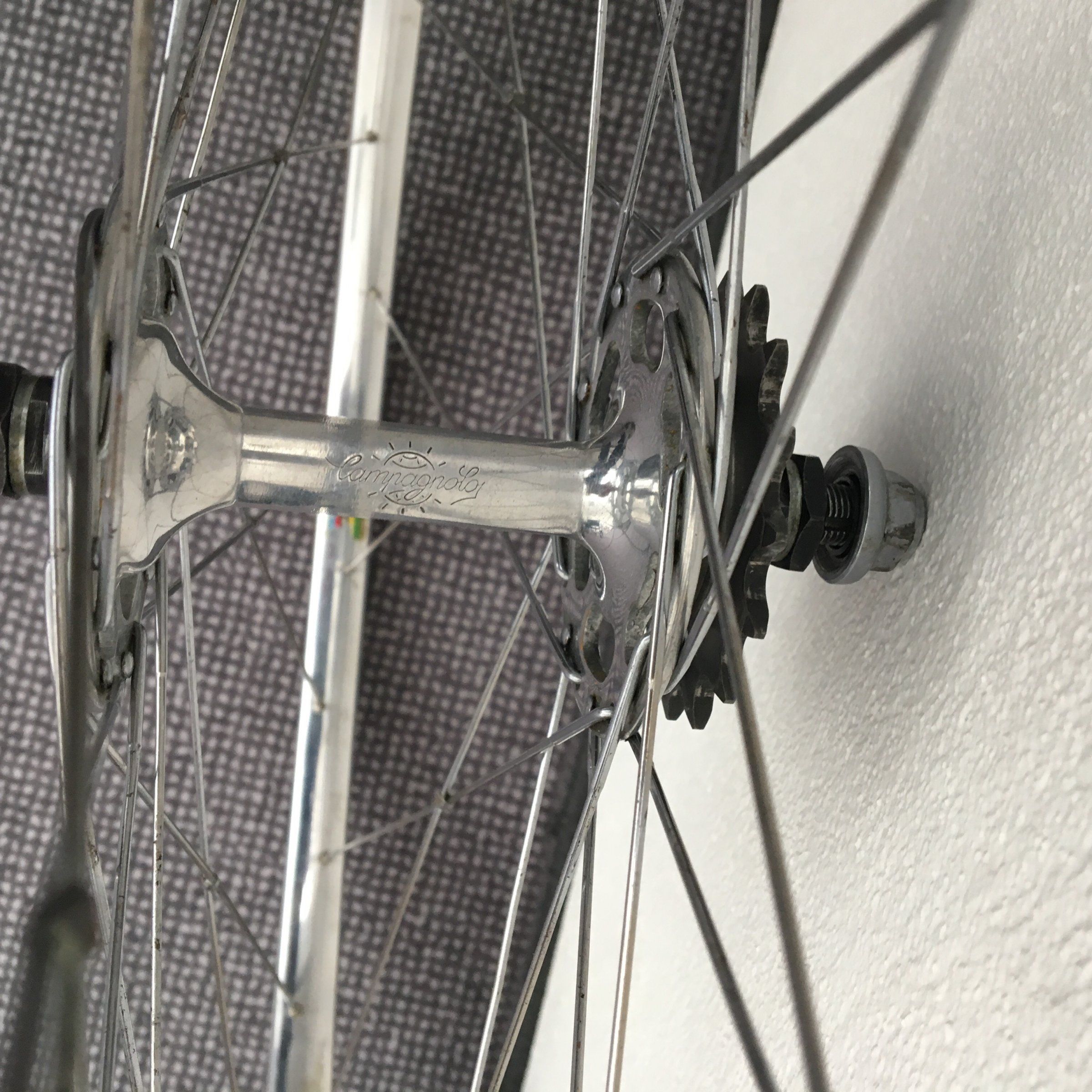 IMG_7234.JPG IMG_7234.JPG