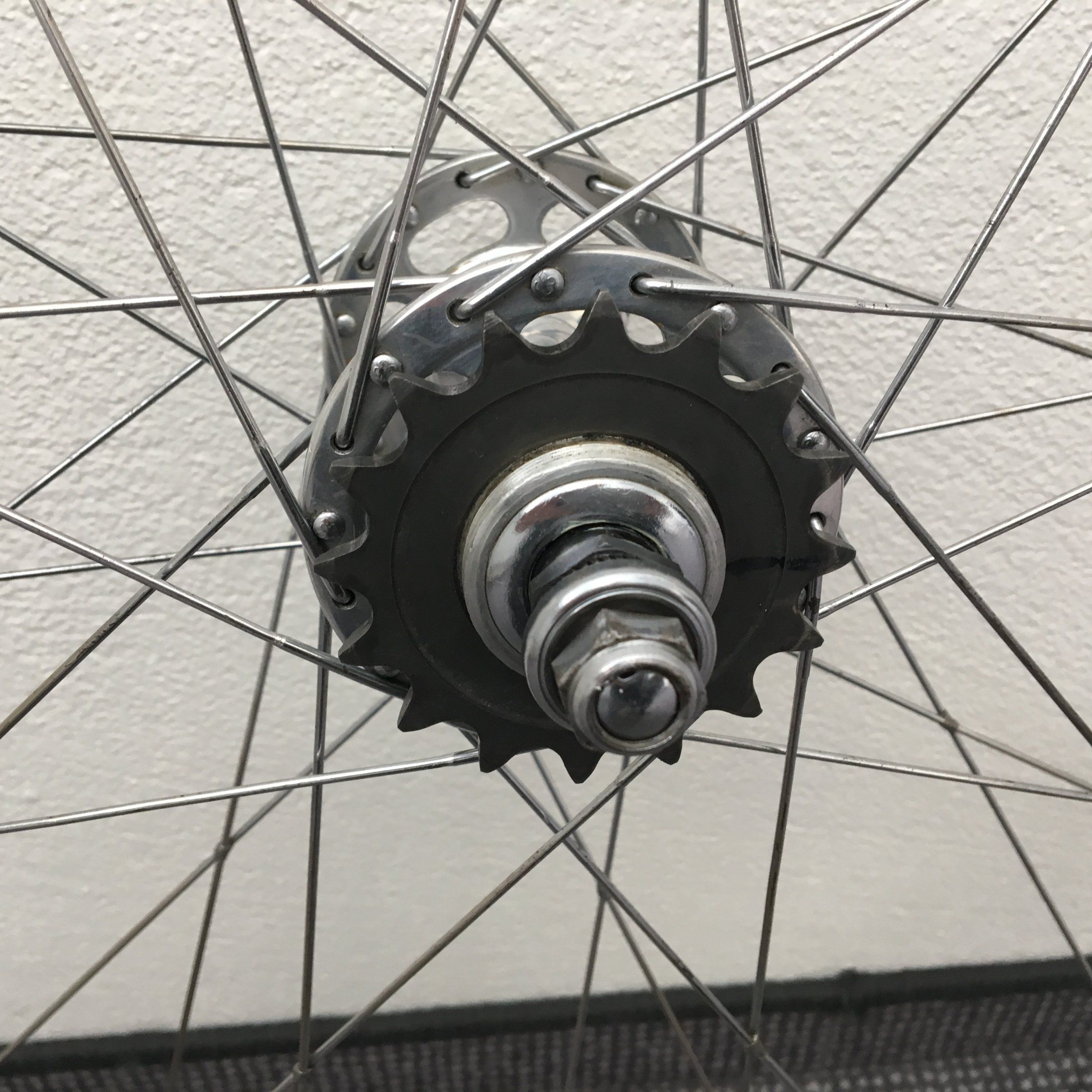 IMG_7237.JPG IMG_7237.JPG