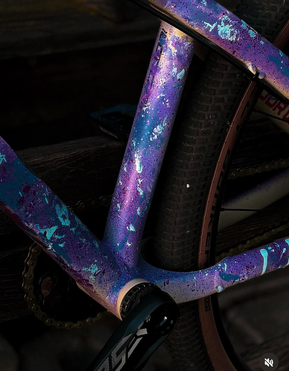 IMG_7287.jpeg IMG_7287.jpeg