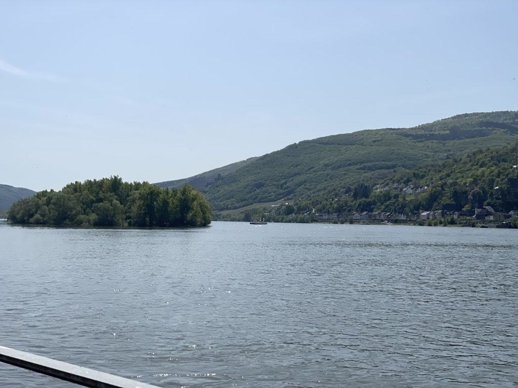 IMG_7308.jpg