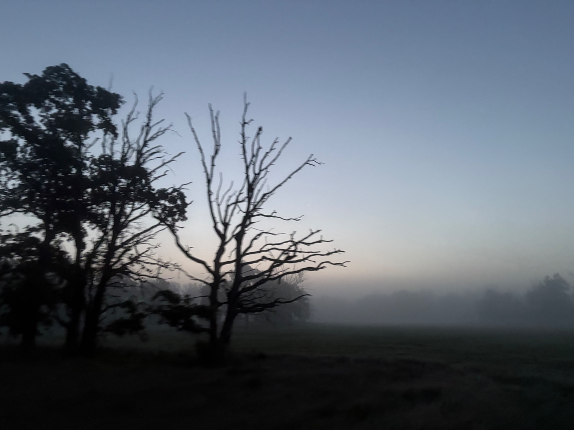 IMG_7447.jpeg