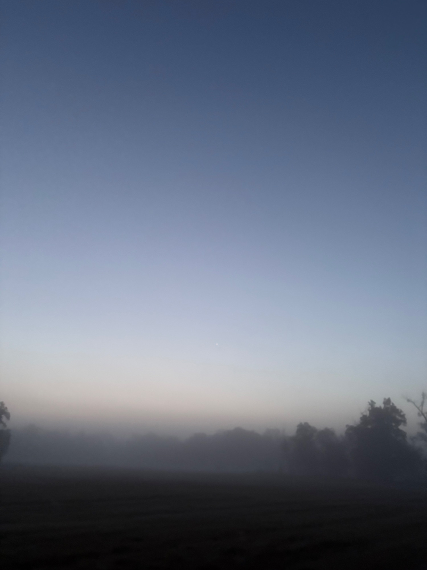 IMG_7450.jpeg