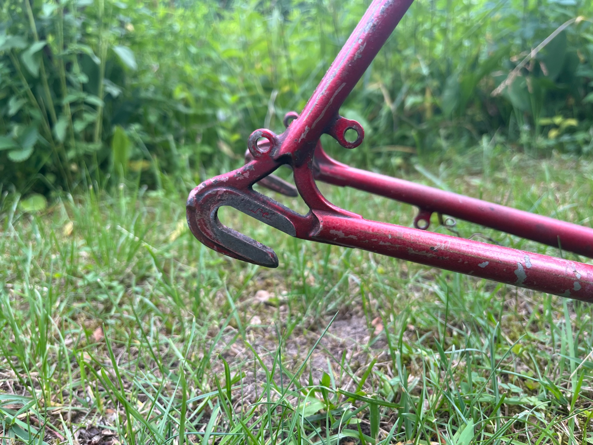 IMG_7497.jpeg