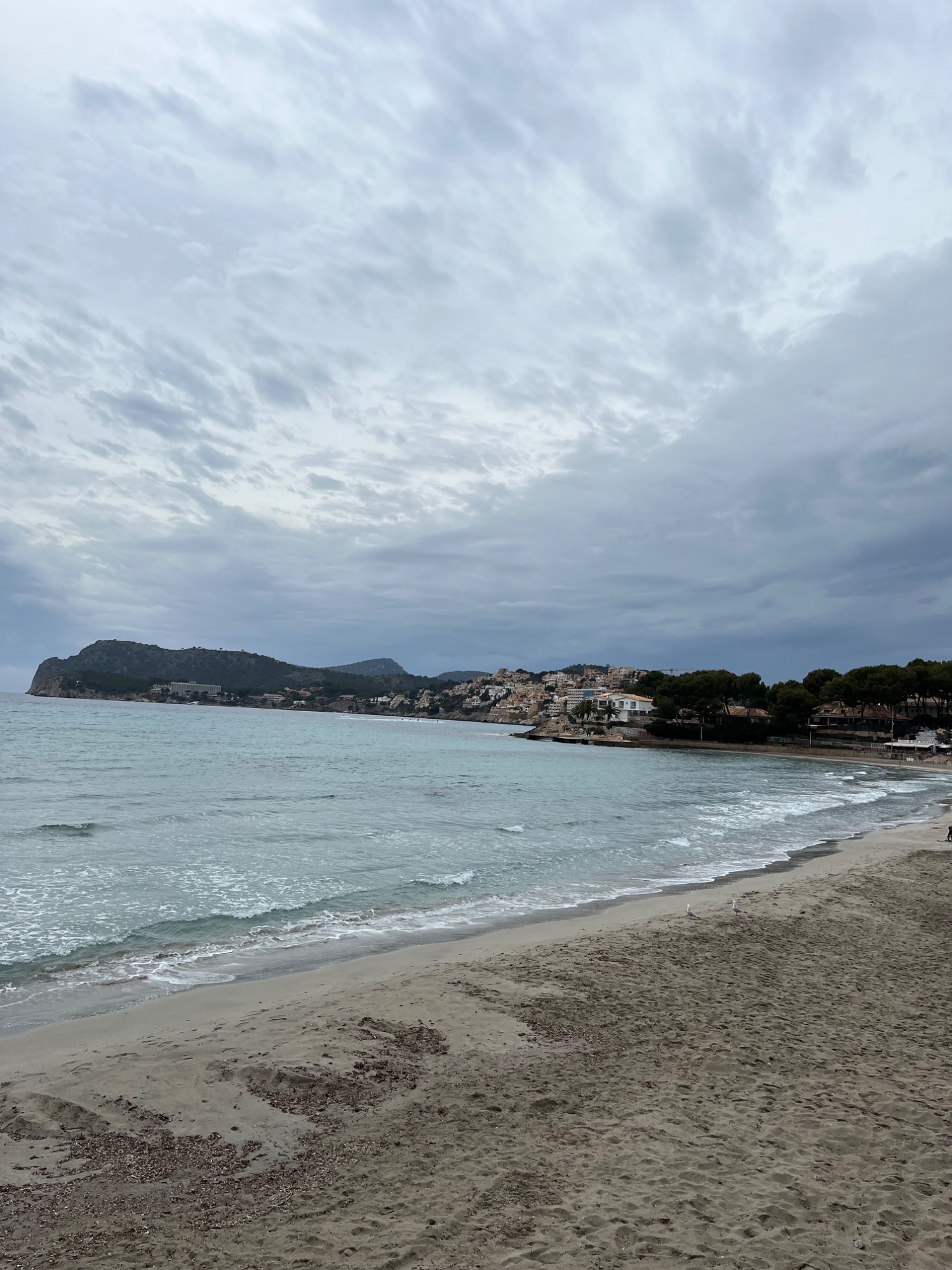 IMG_7624.jpeg