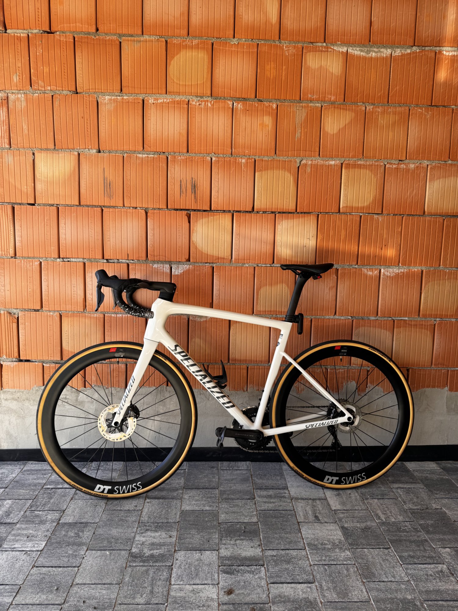 IMG_7769.jpeg IMG_7769.jpeg