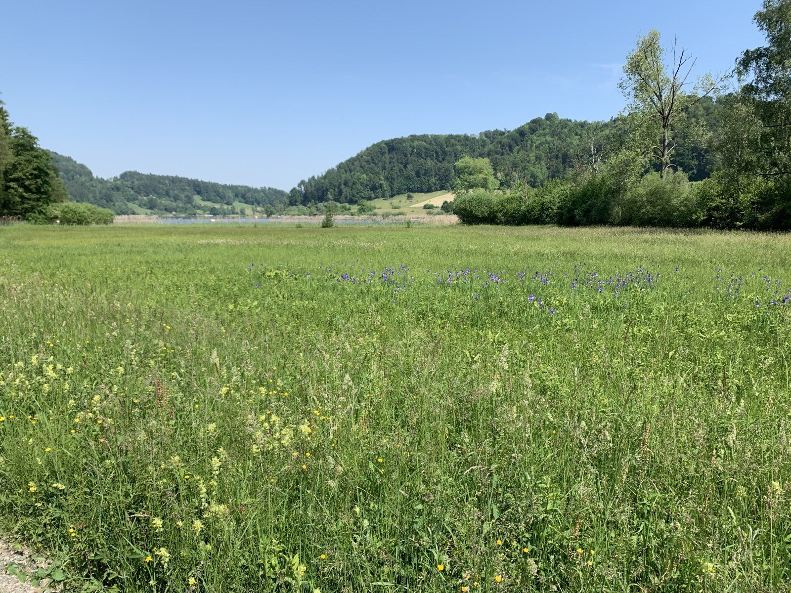 IMG_7788.jpeg