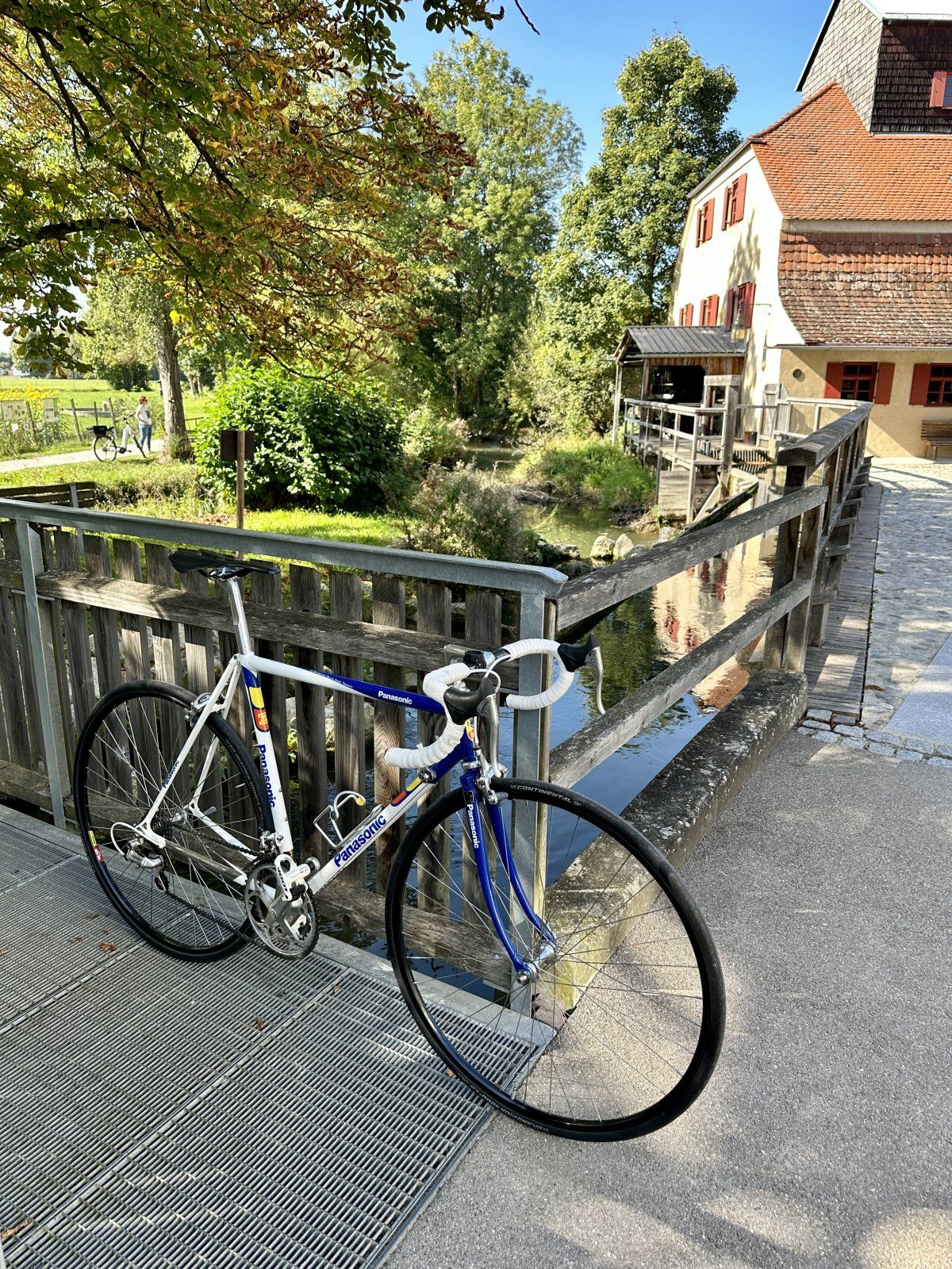 IMG_7816.jpeg