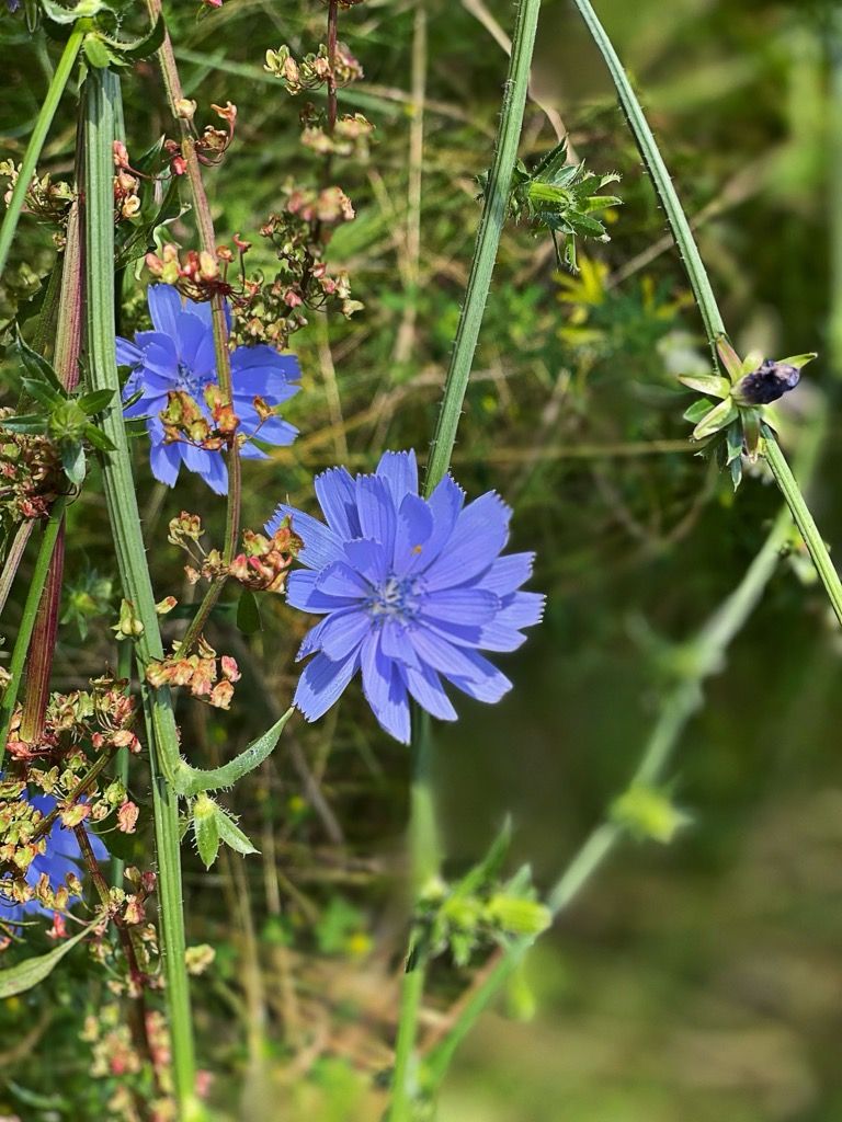 IMG_8005.jpeg