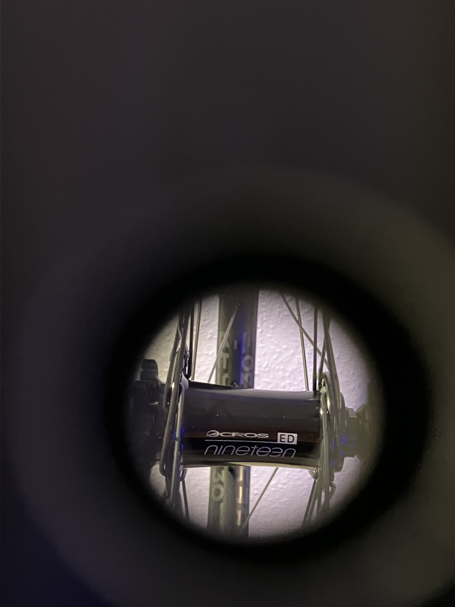 IMG_8321.jpeg