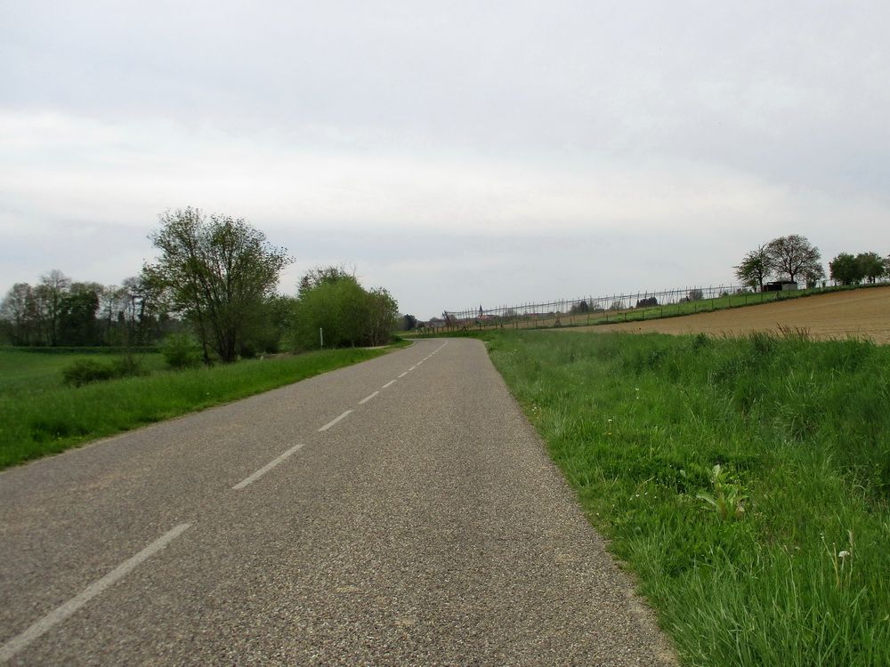 IMG_8333.JPG