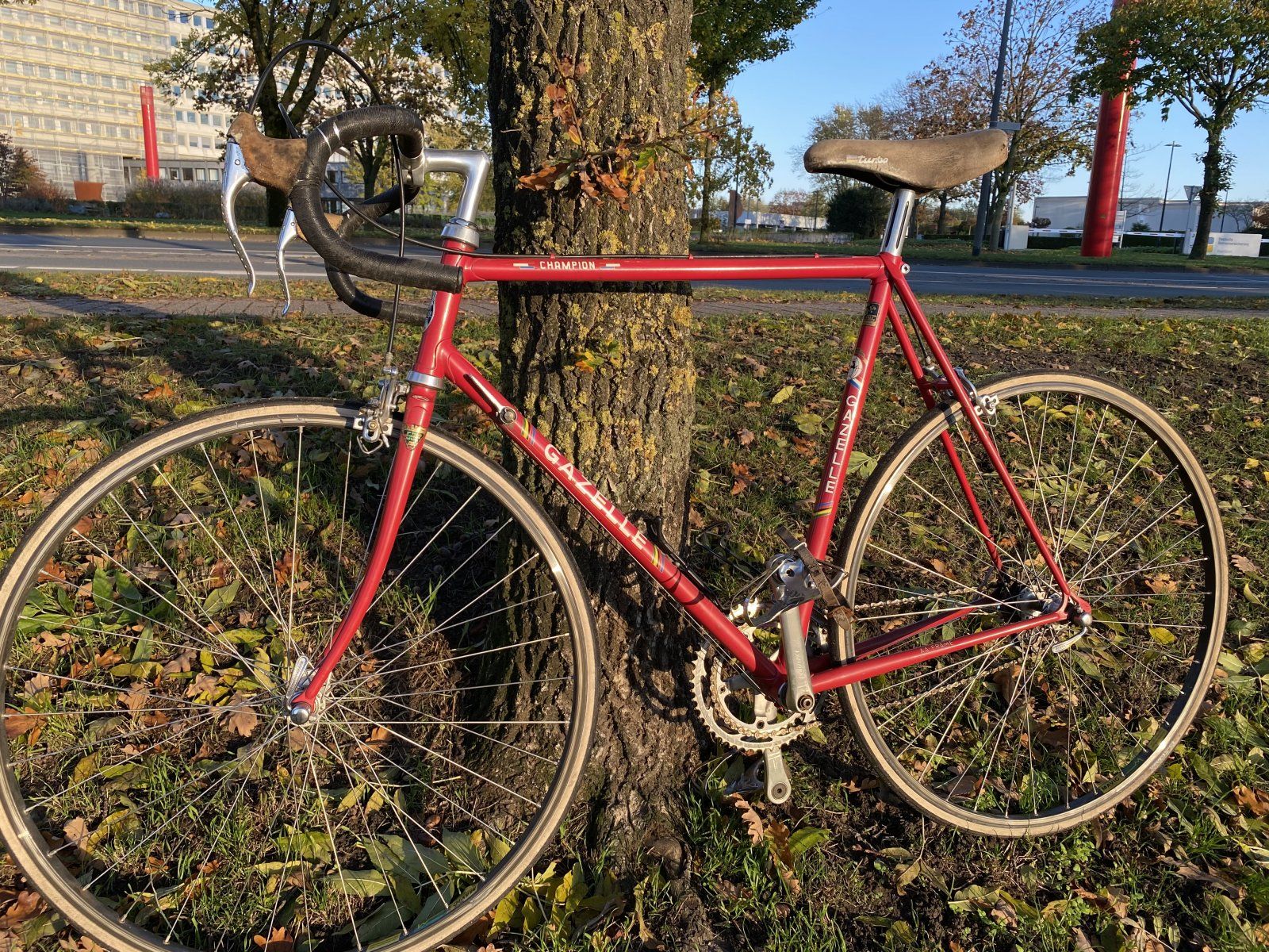 IMG_8379.JPG IMG_8379.JPG