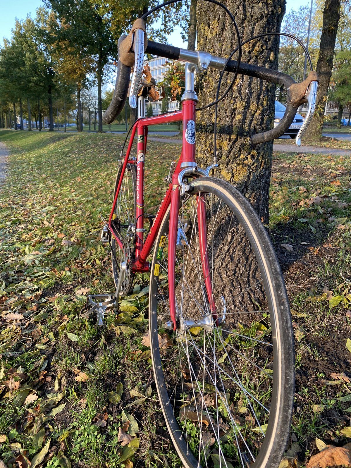 IMG_8381.JPG IMG_8381.JPG