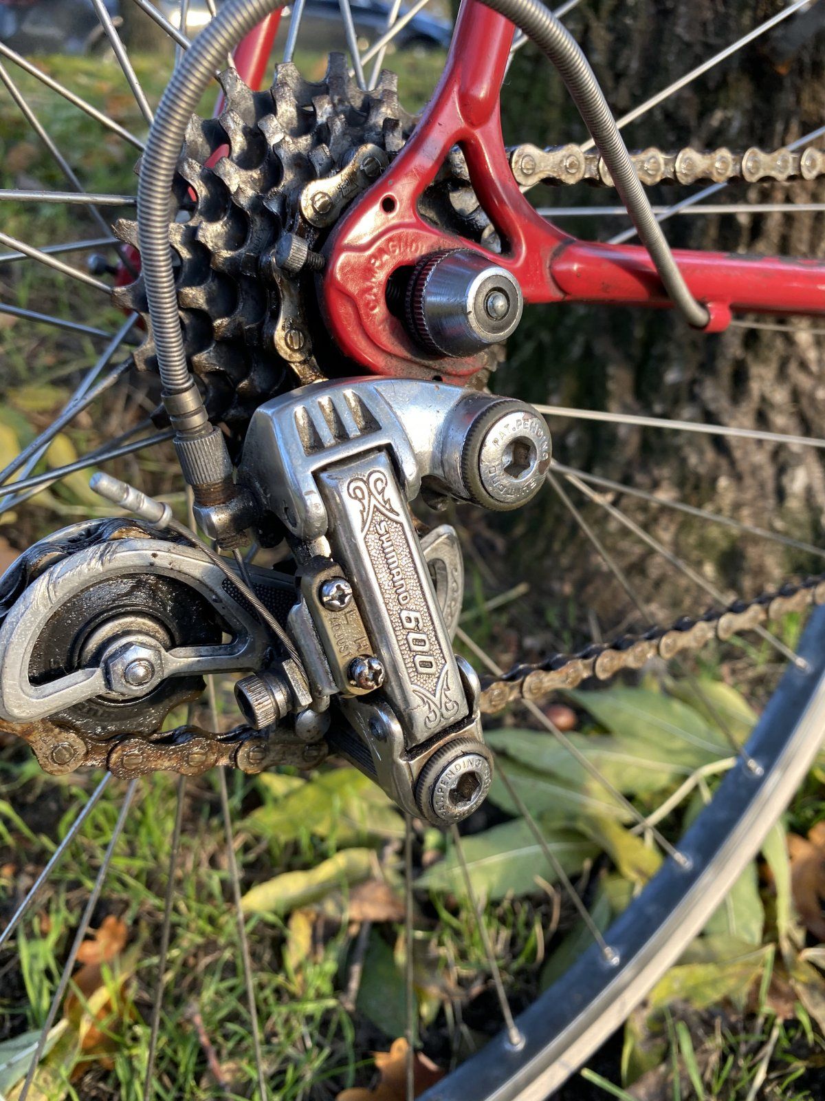 IMG_8382.JPG IMG_8382.JPG