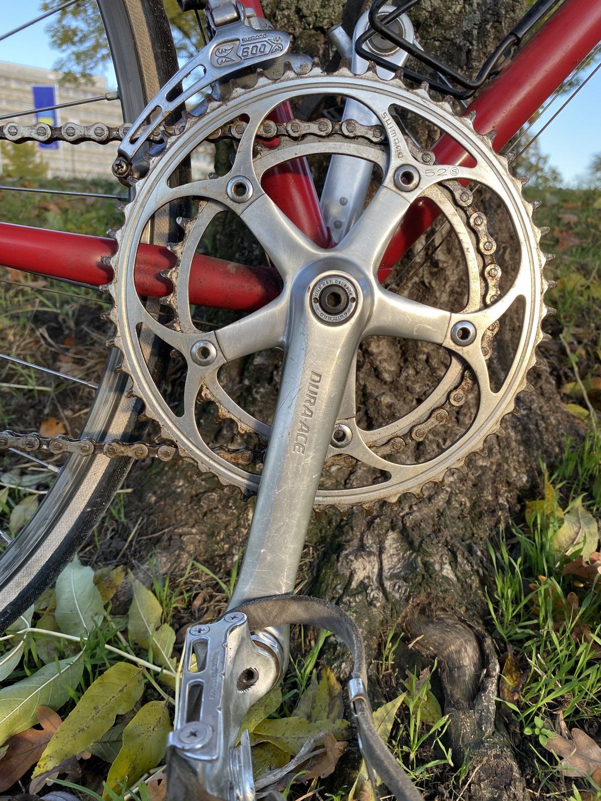 IMG_8383.JPG IMG_8383.JPG