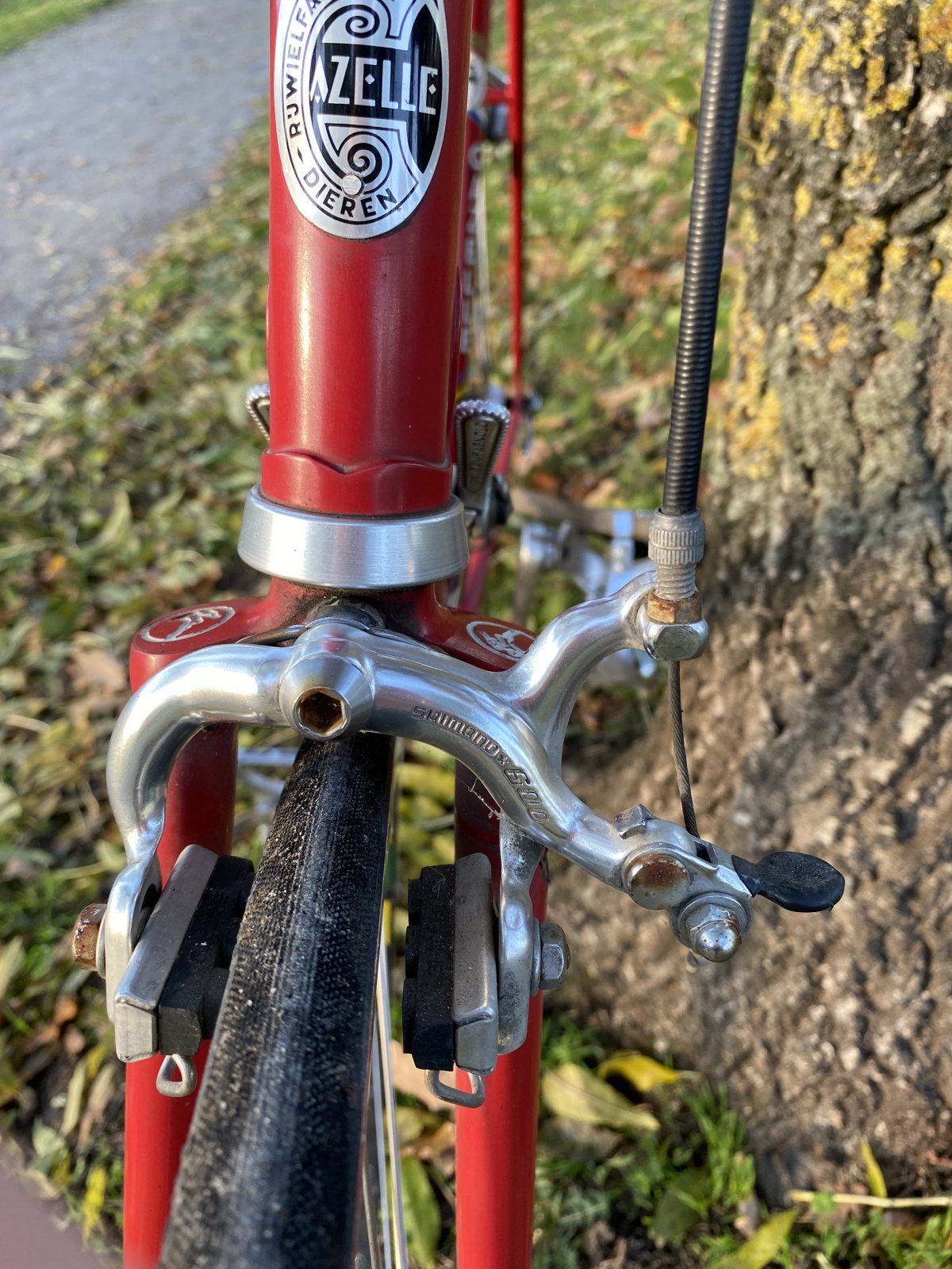 IMG_8385.JPG IMG_8385.JPG