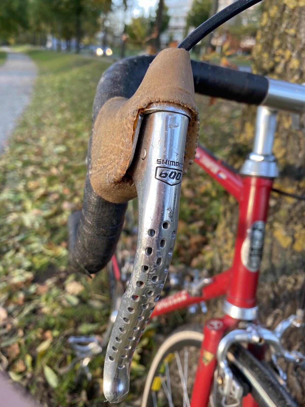 IMG_8386.JPG IMG_8386.JPG