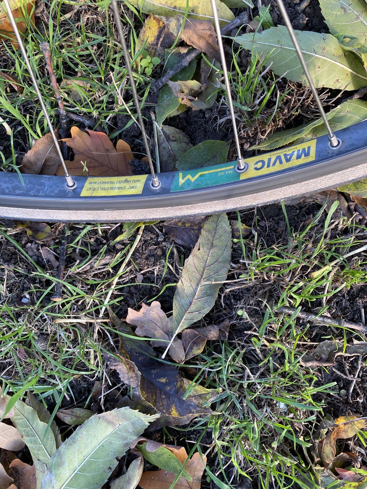 IMG_8387.JPG IMG_8387.JPG