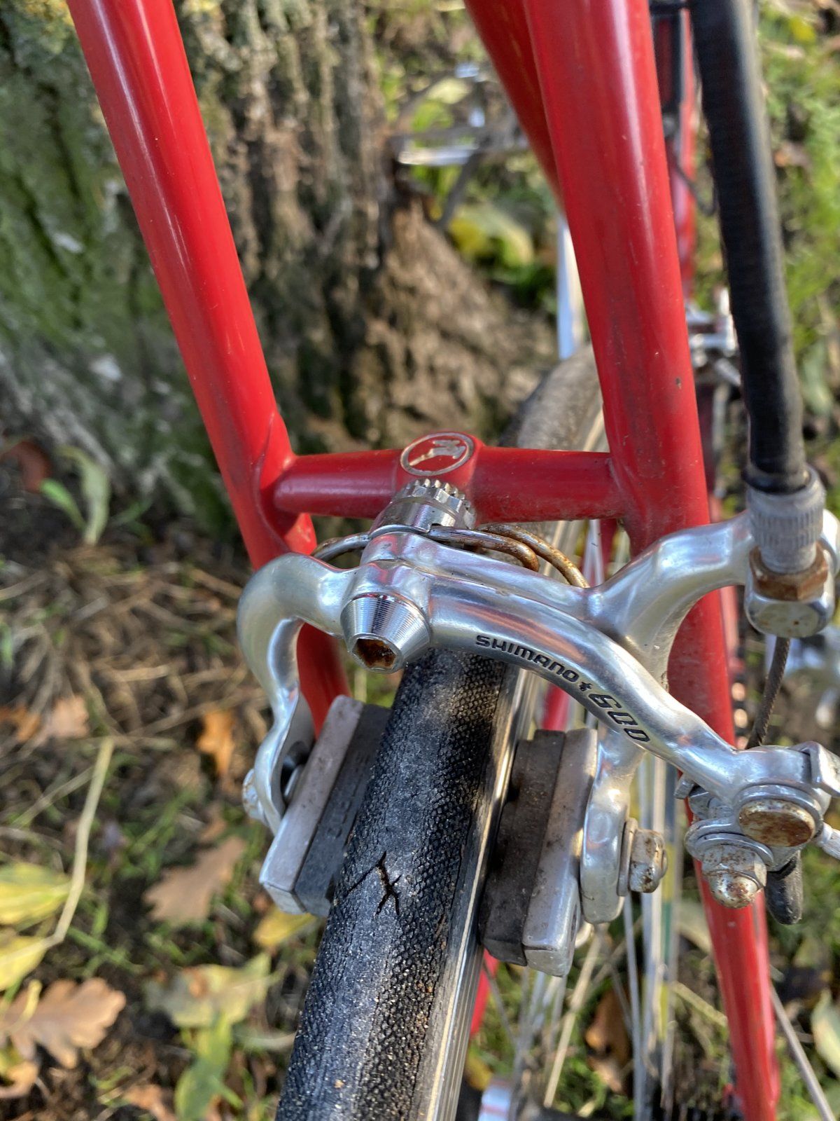 IMG_8389.JPG IMG_8389.JPG