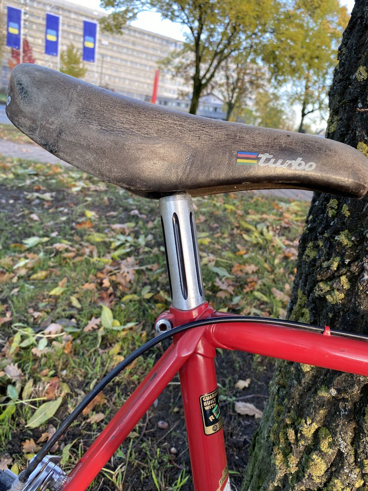 IMG_8390.JPG IMG_8390.JPG