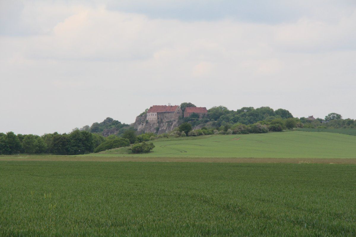IMG_8699.JPG