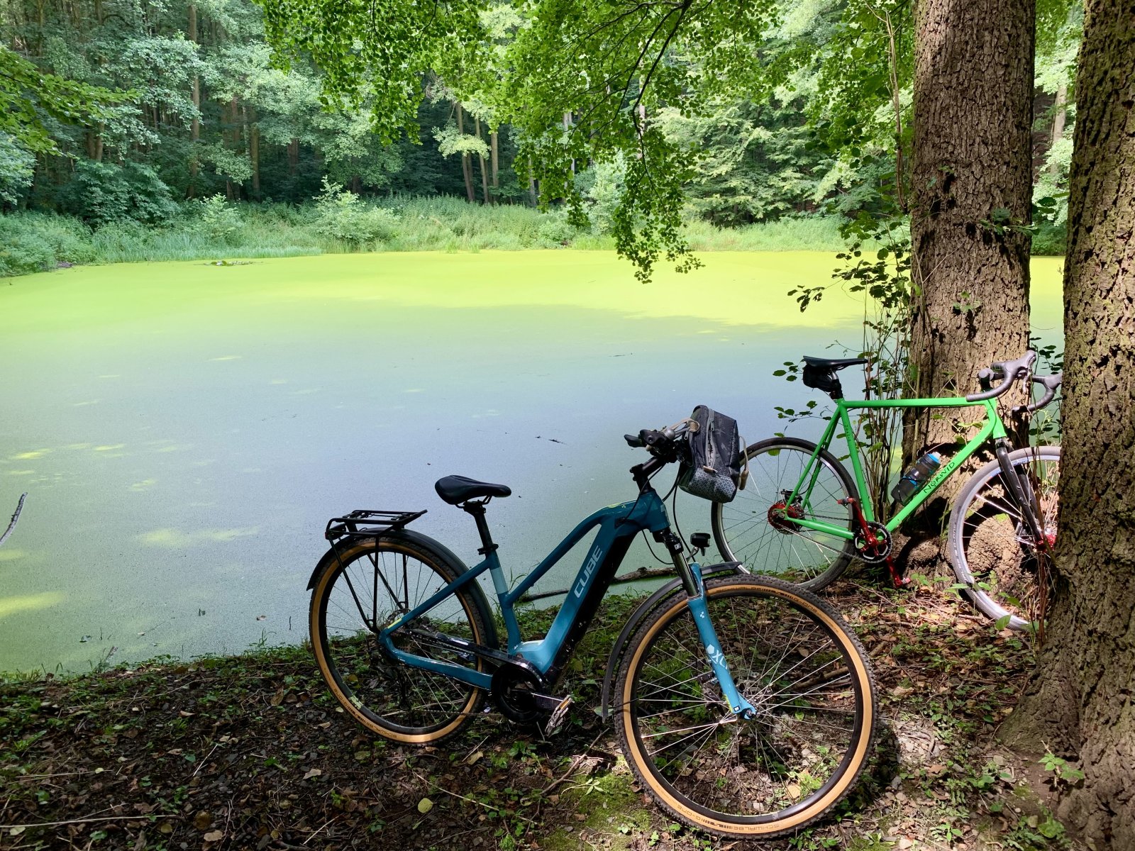 IMG_9154.jpeg IMG_9154.jpeg