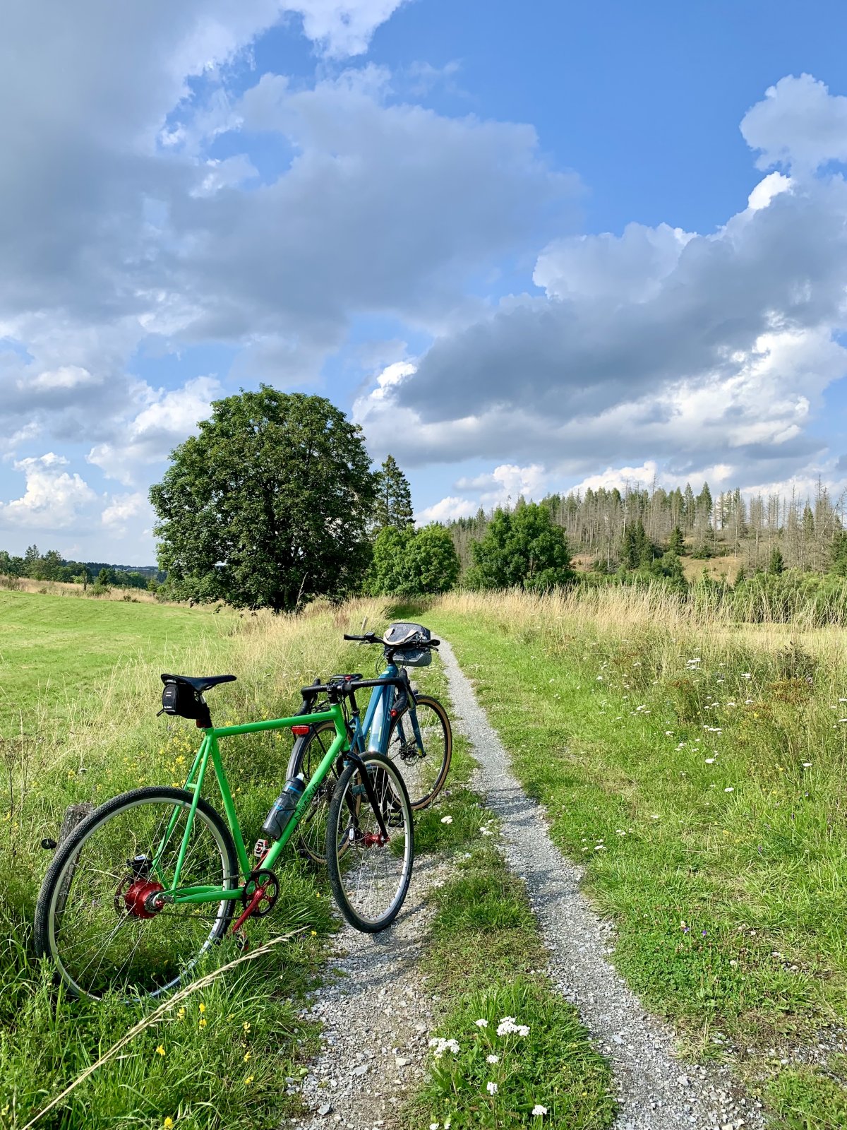 IMG_9162.jpeg IMG_9162.jpeg