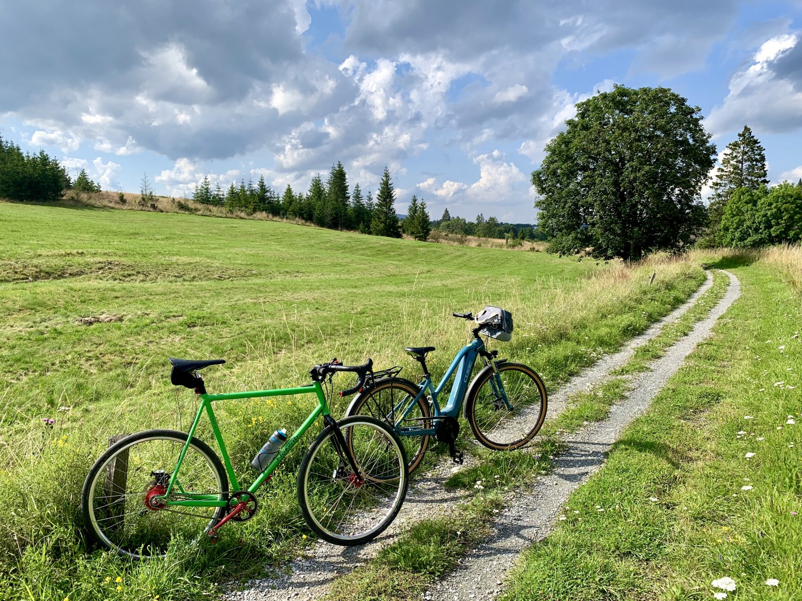 IMG_9163.jpeg IMG_9163.jpeg