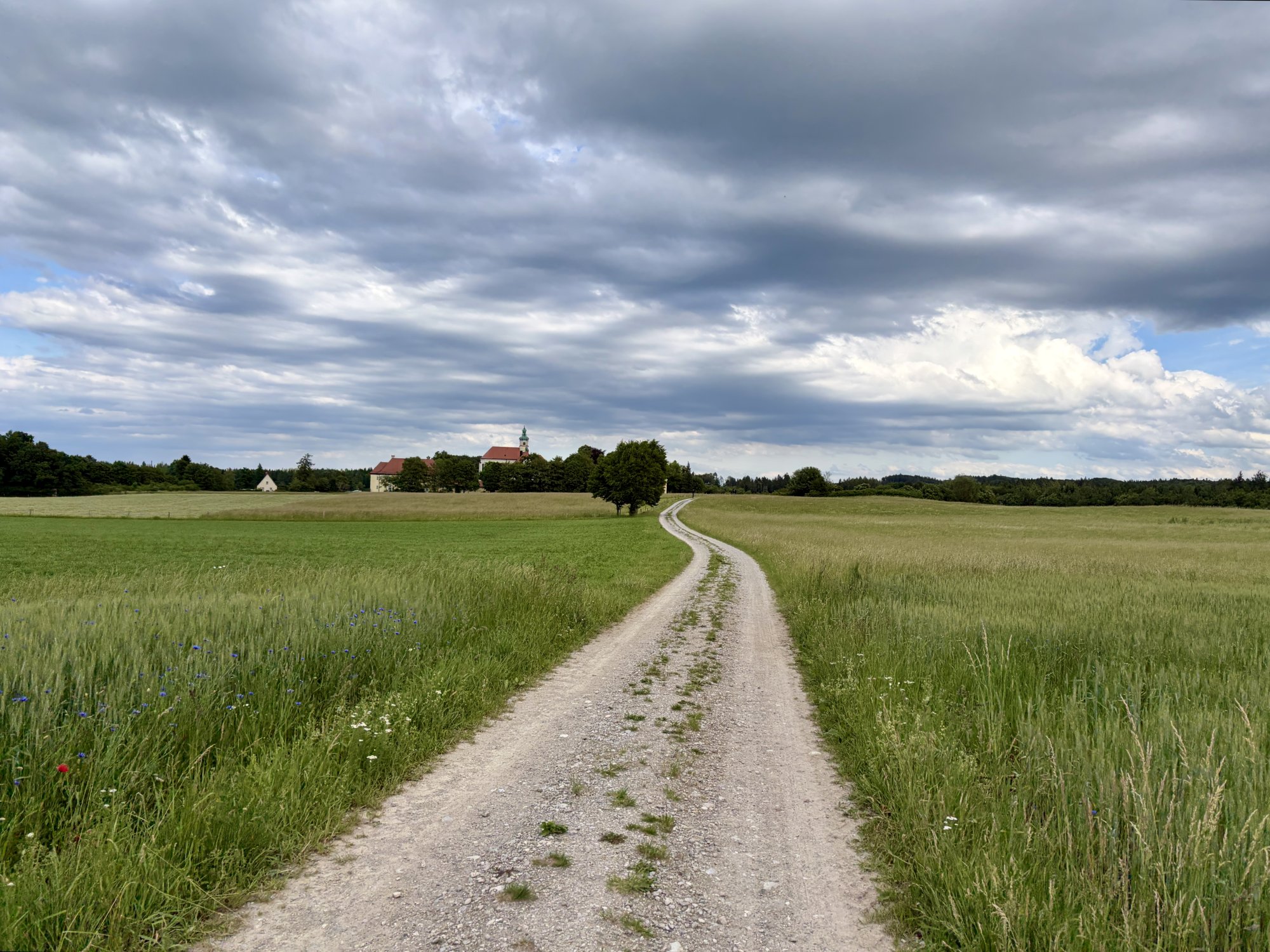 IMG_9171.jpeg