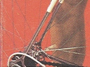 IMG_9397.jpeg