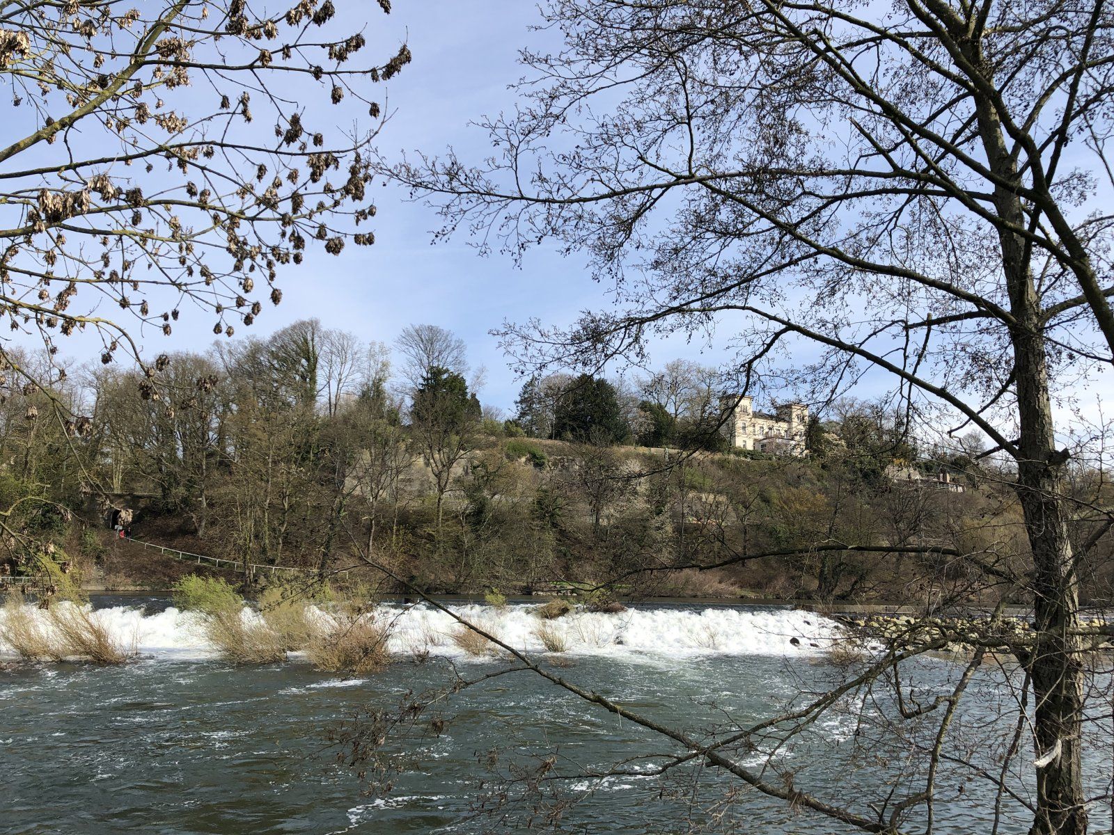 IMG_9502.jpeg