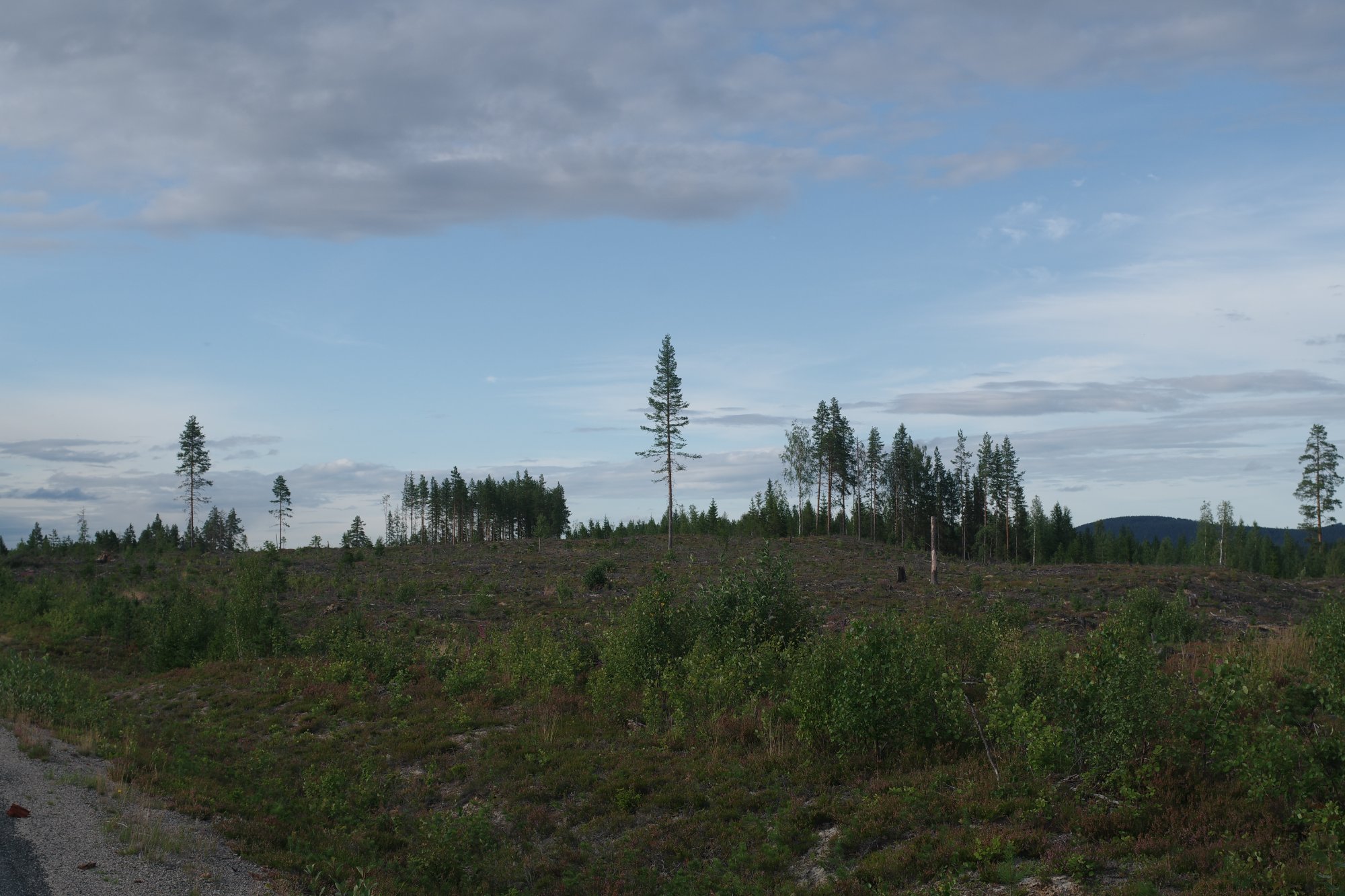 IMGP0078.JPG