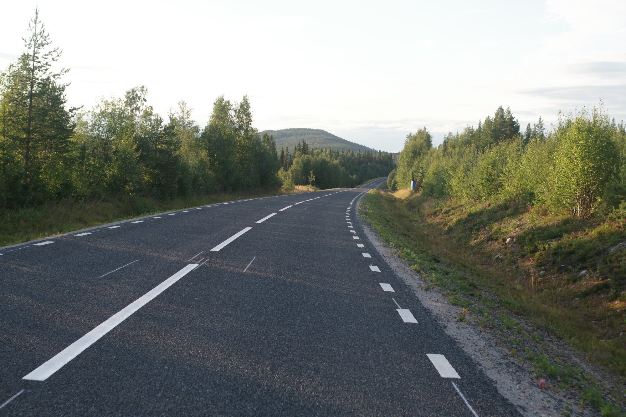 IMGP0106.JPG