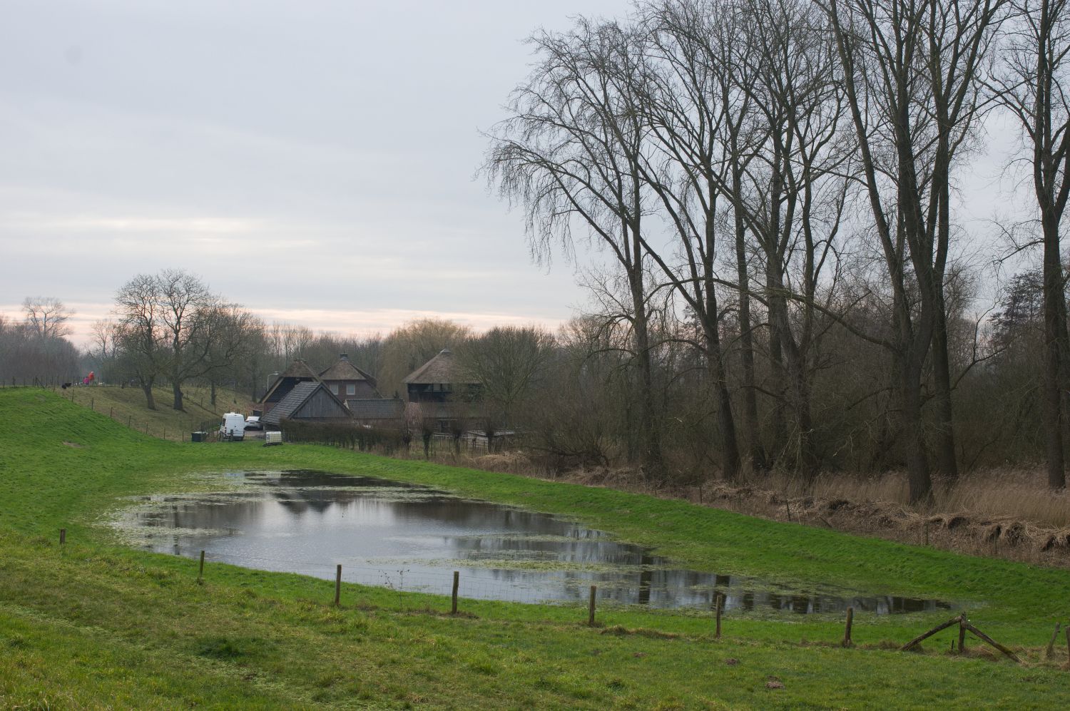 IMGP0953.jpg