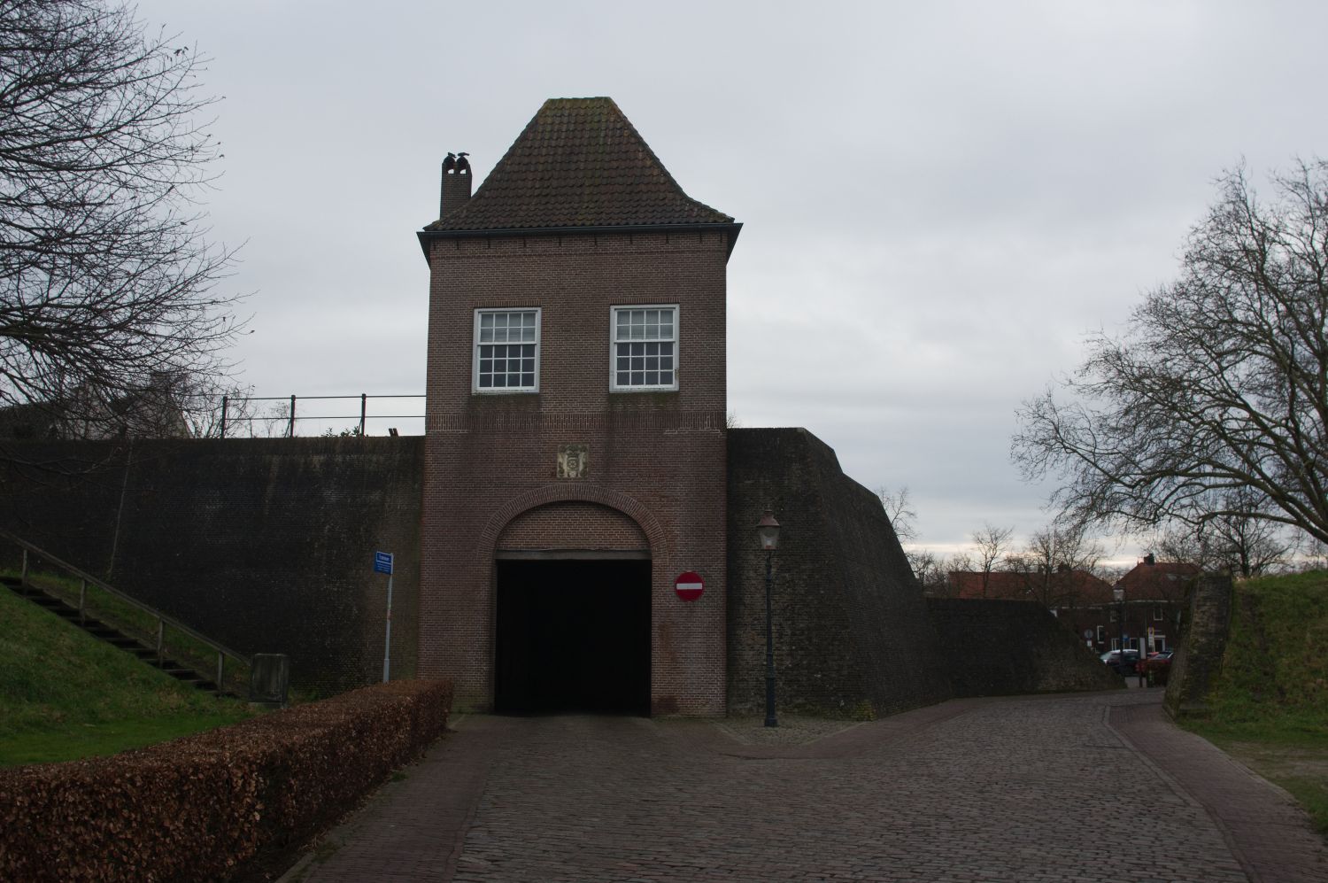 IMGP0977.jpg