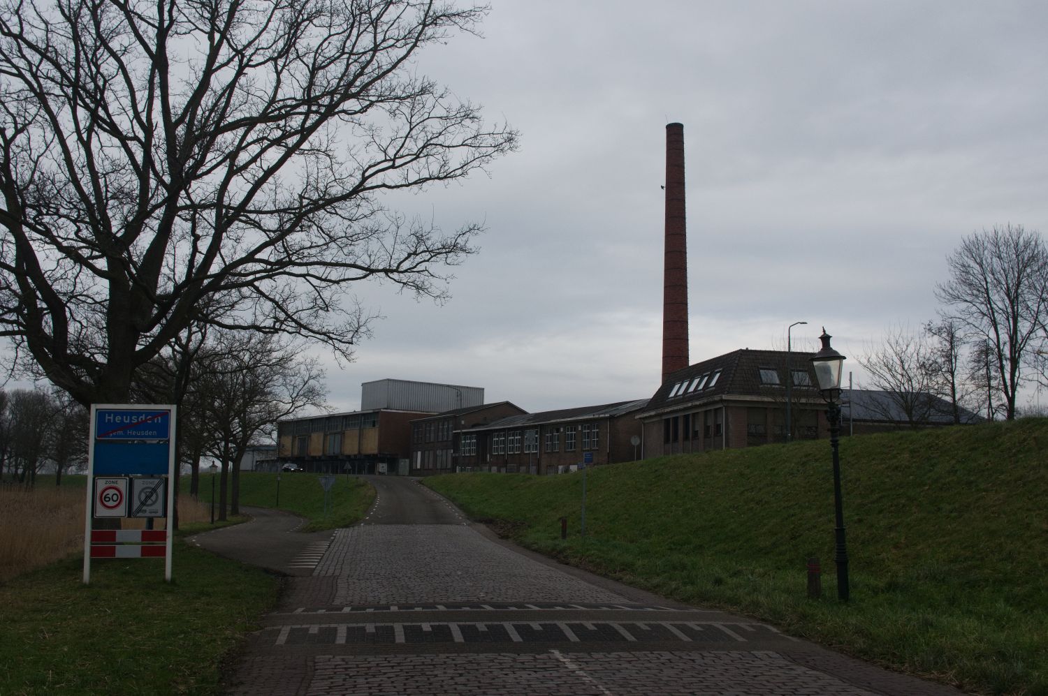 IMGP0981.jpg