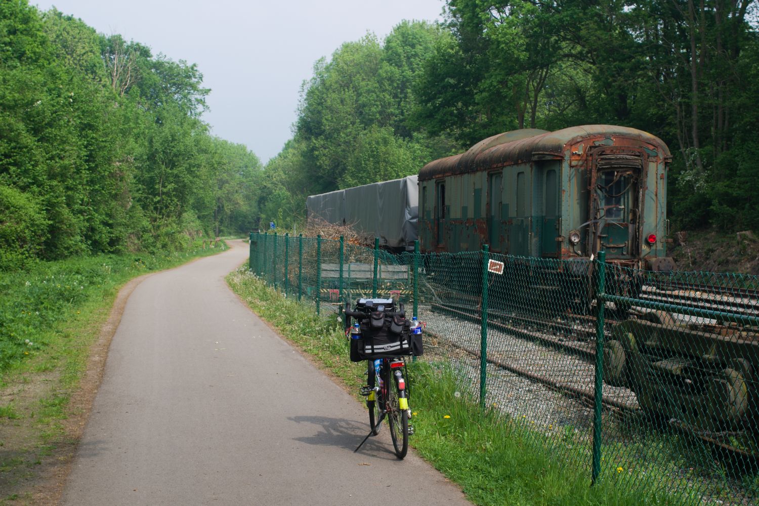 IMGP1286.jpg