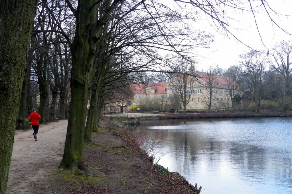 IMGP1451.JPG
