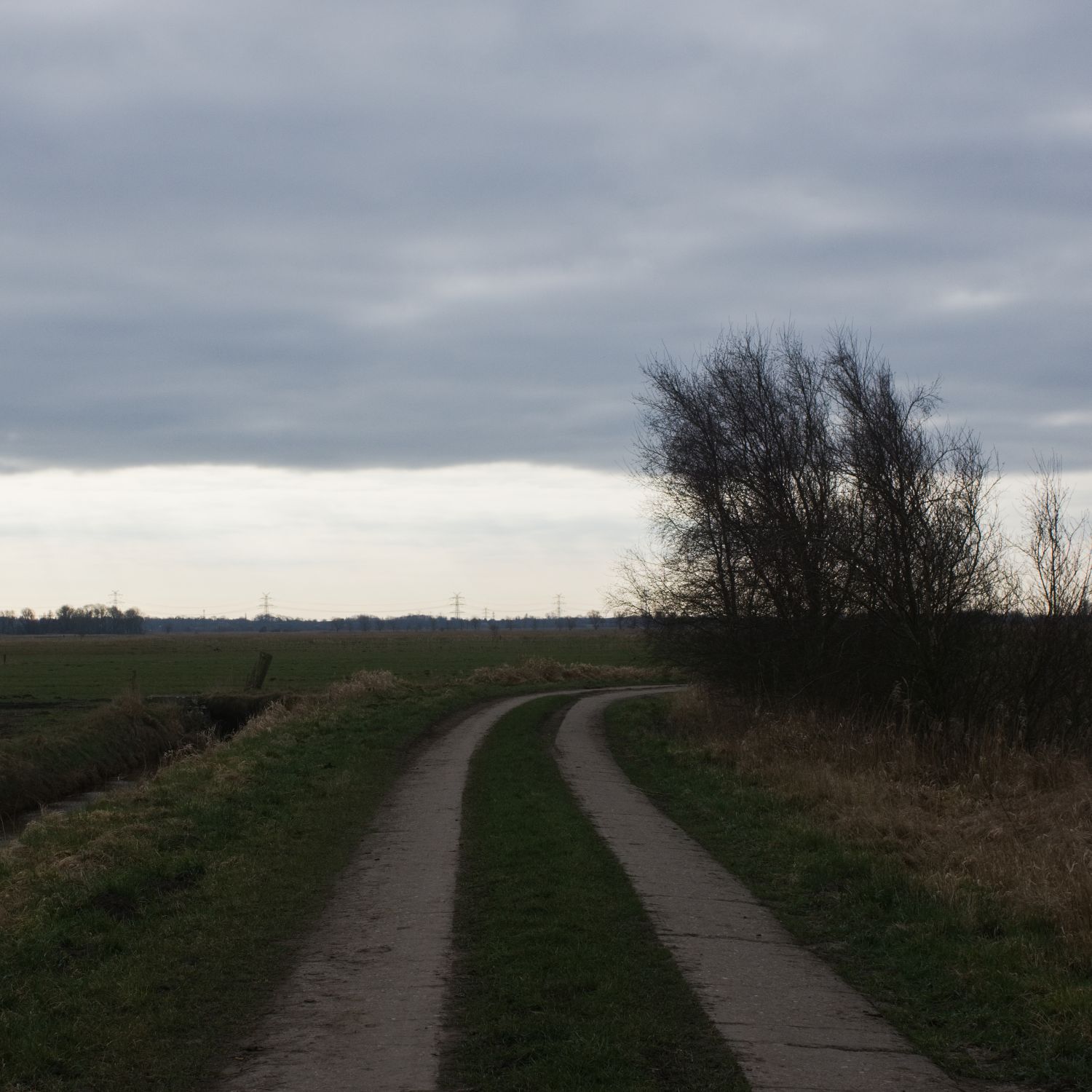 IMGP2879.jpg