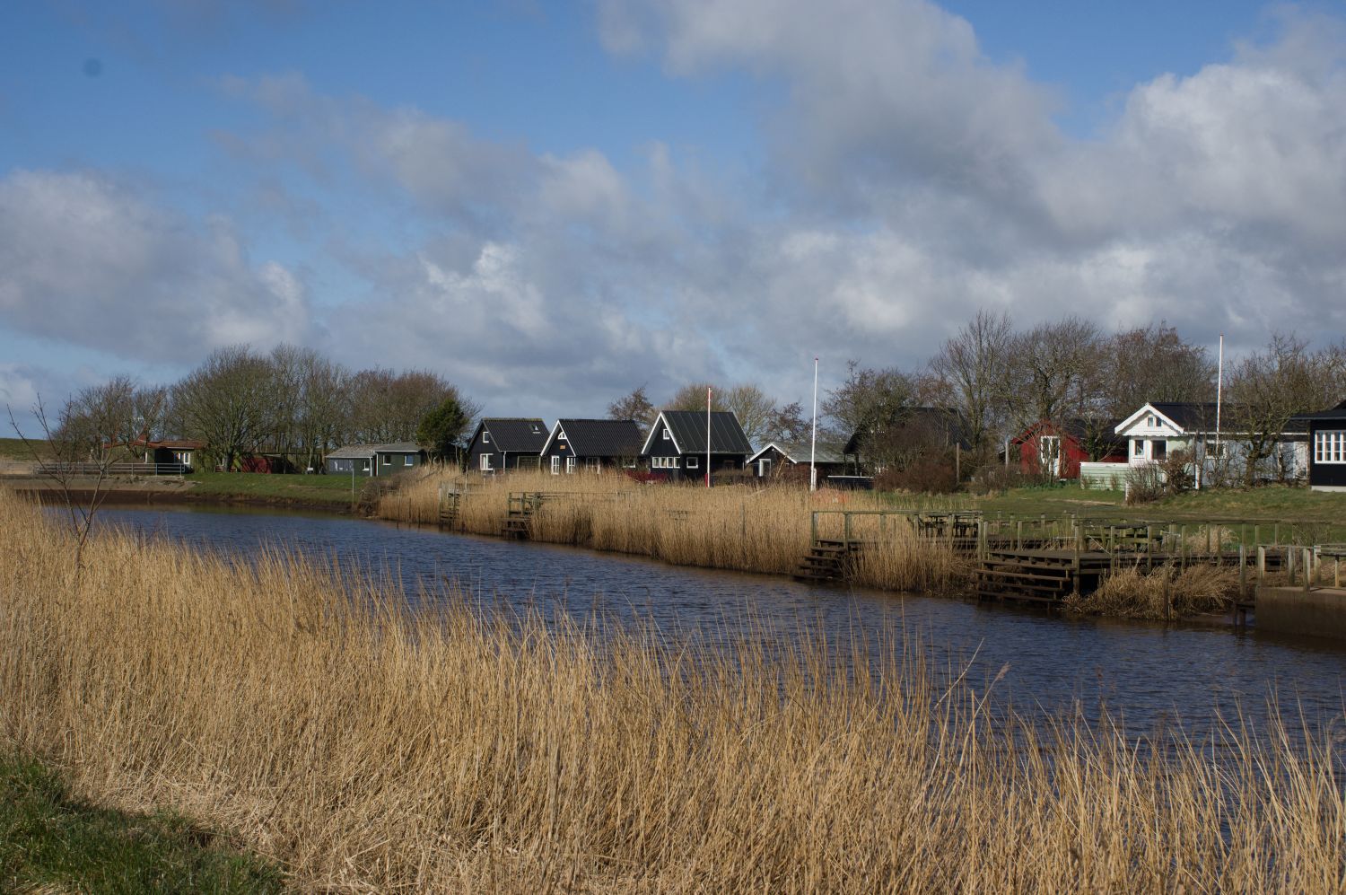 IMGP3067.jpg