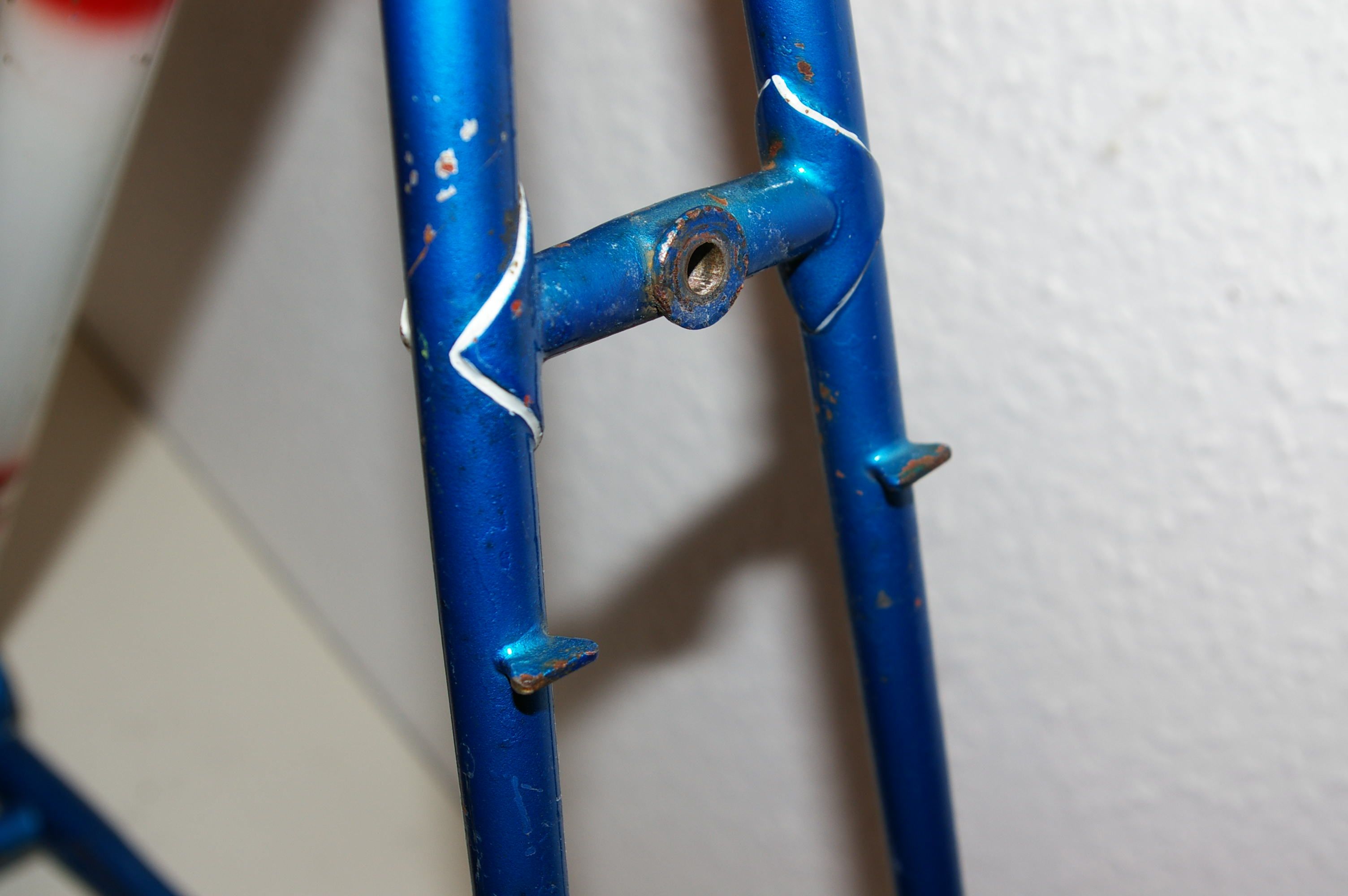 IMGP3128.JPG