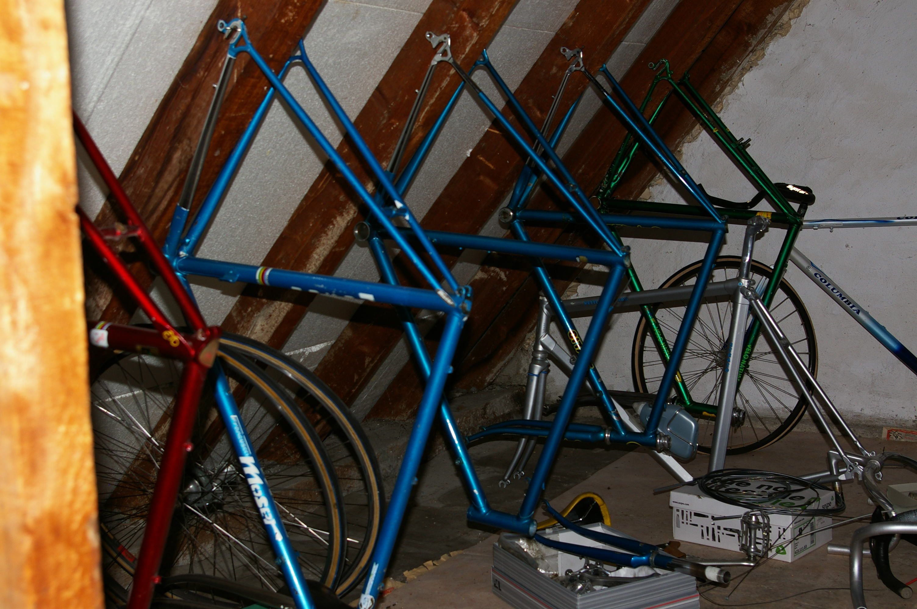 IMGP3197.JPG