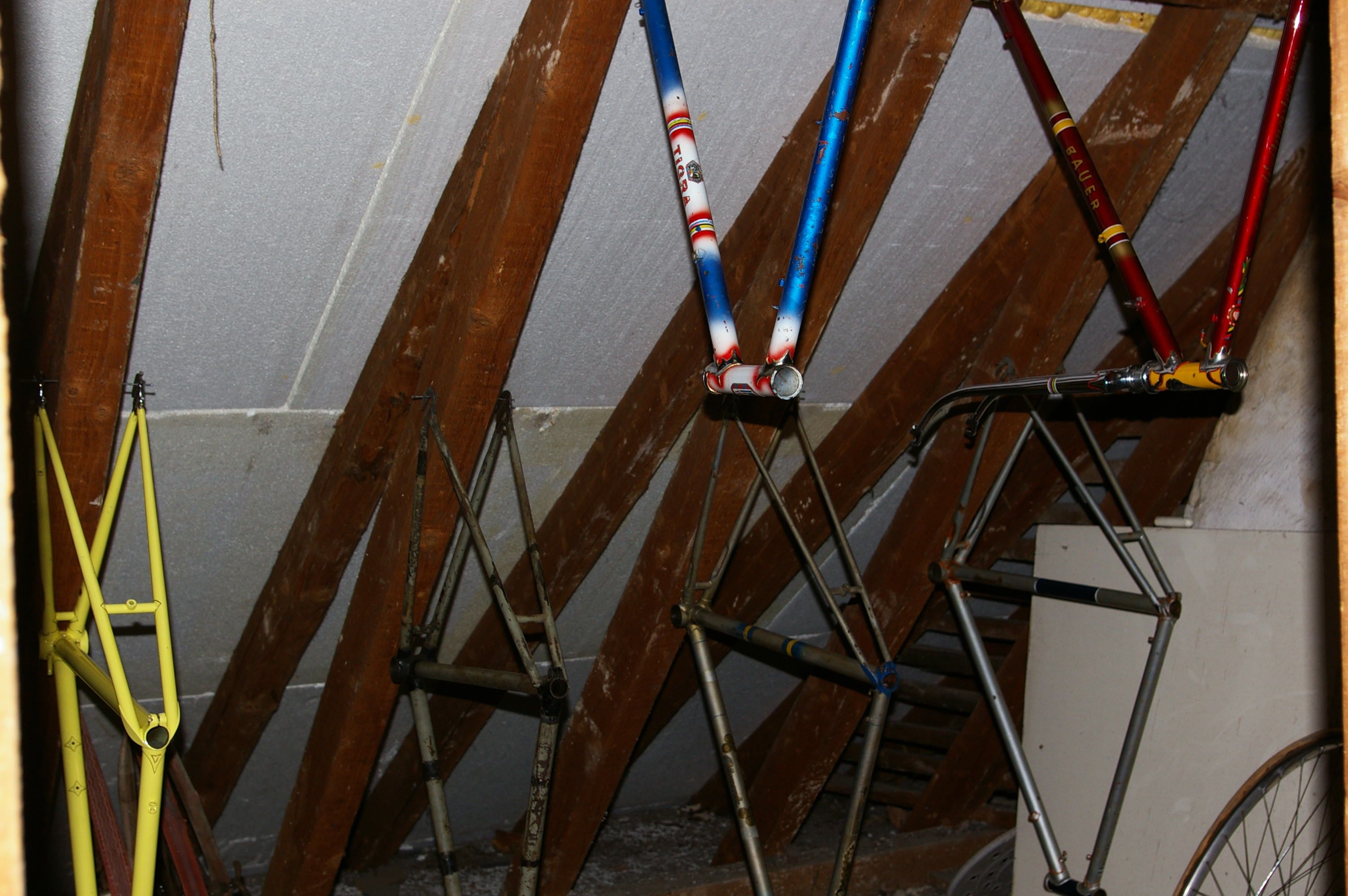 IMGP3199.JPG