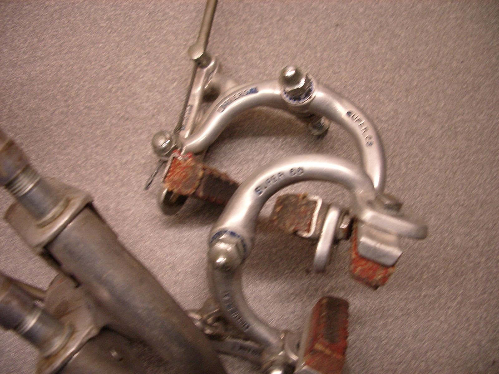 IMGP6220.JPG