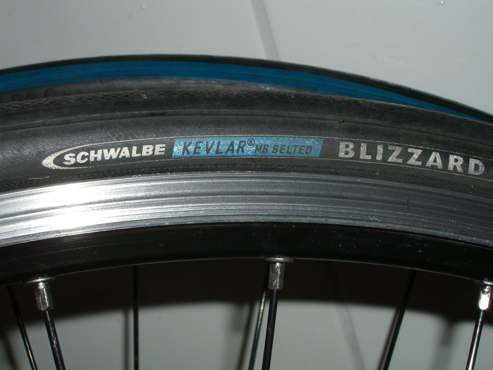 IMGP6231.JPG