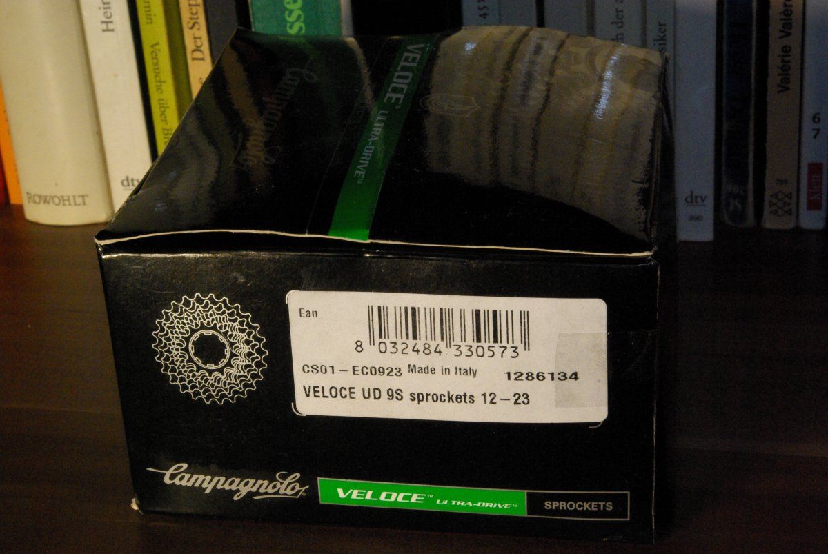 IMGP7954.JPG